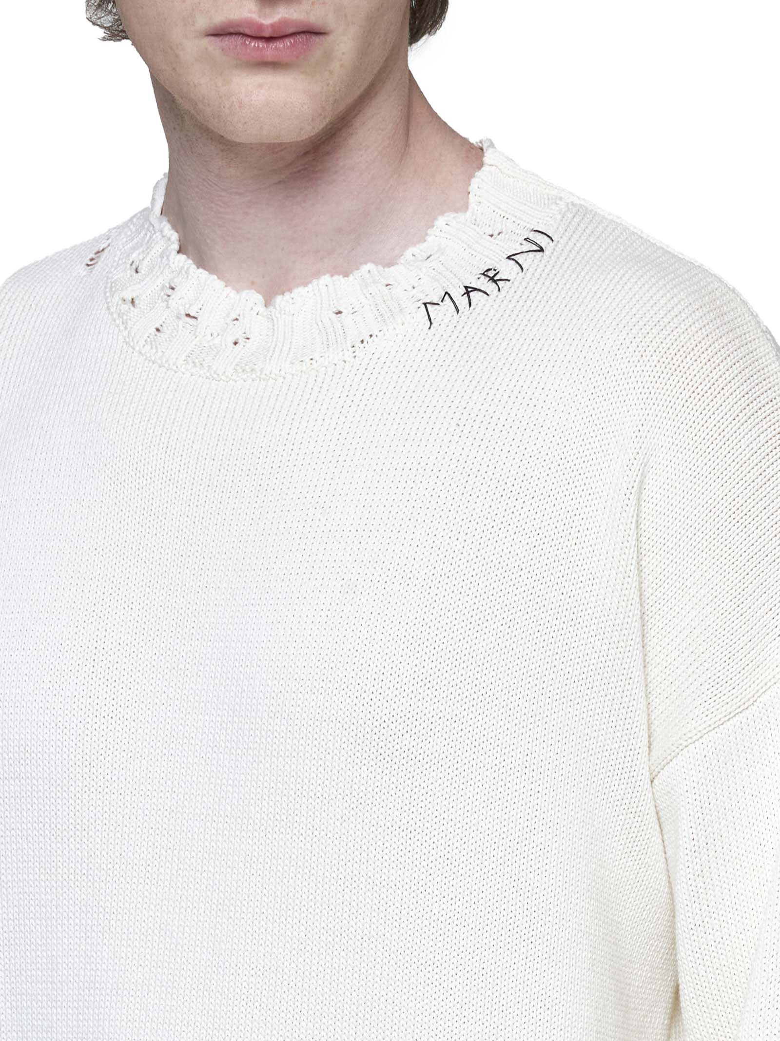 Shop Marni Sweater In Lily White