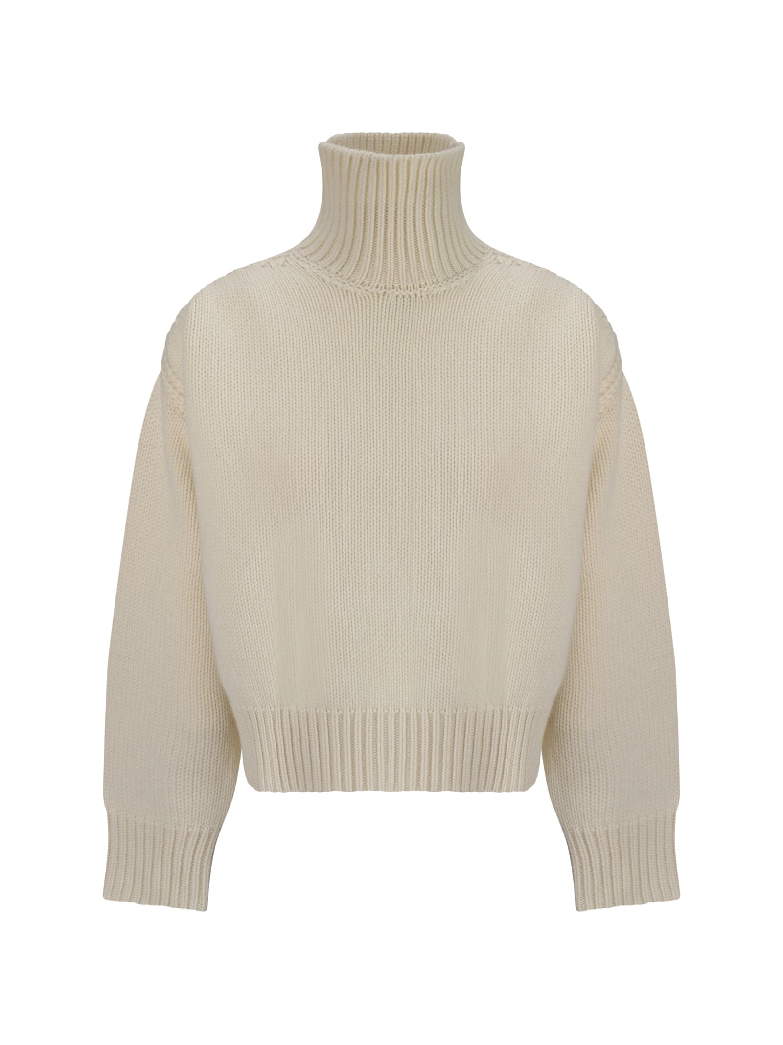 Turtleneck Sweater