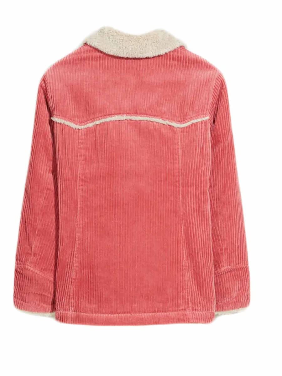 Shop Bellerose Short Coat In Pink