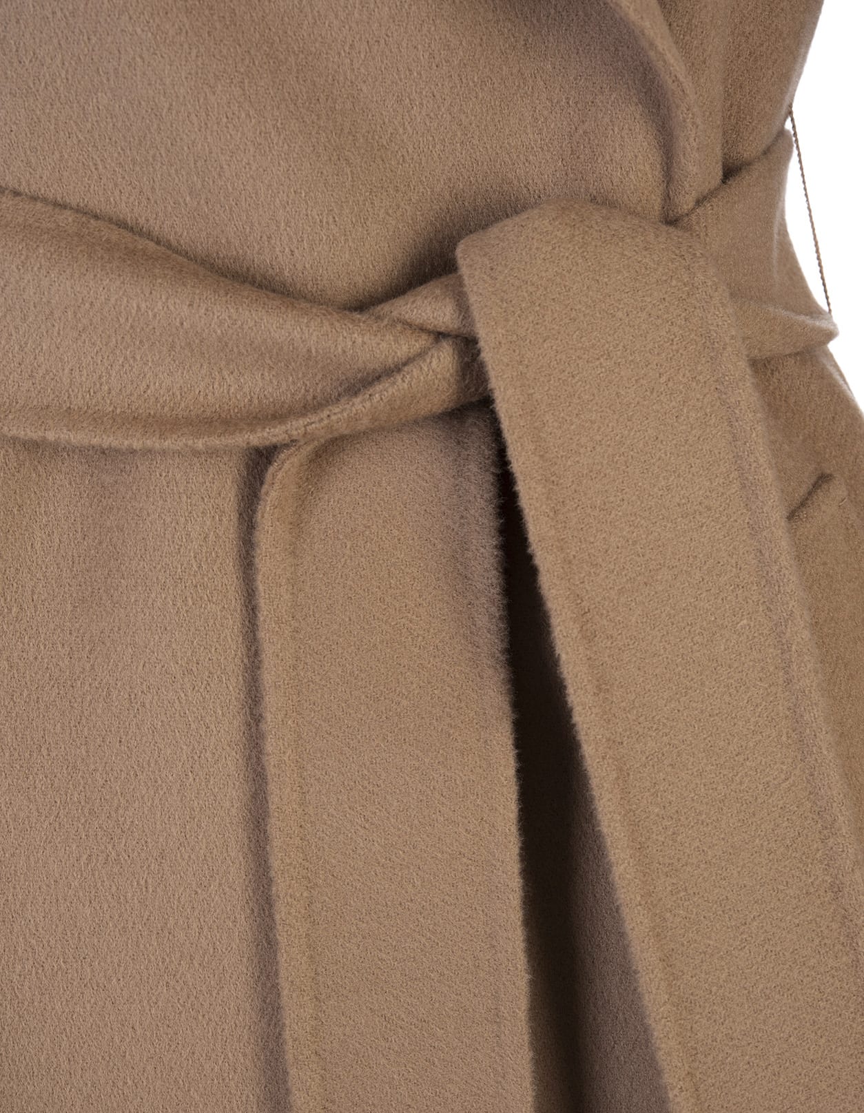 Shop 's Max Mara Camel Elisa Coat In Brown