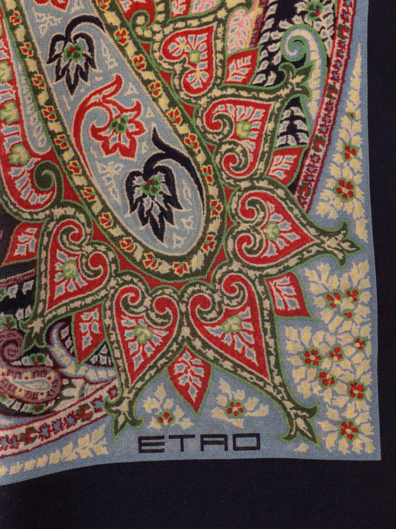 Shop Etro Scarf In Multicolor