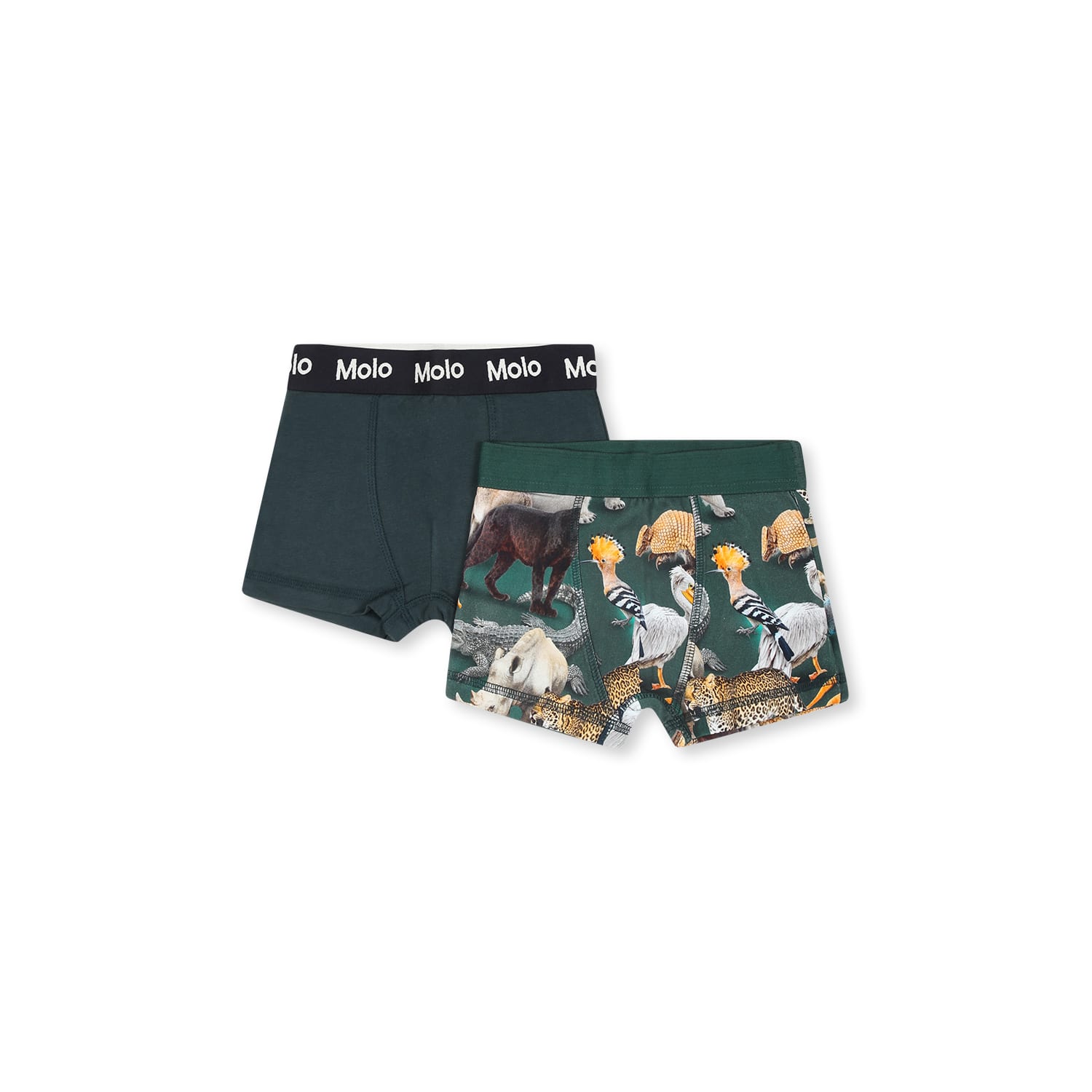 Shop Molo Green Boxer Shorts Set For Boy With Animal Print