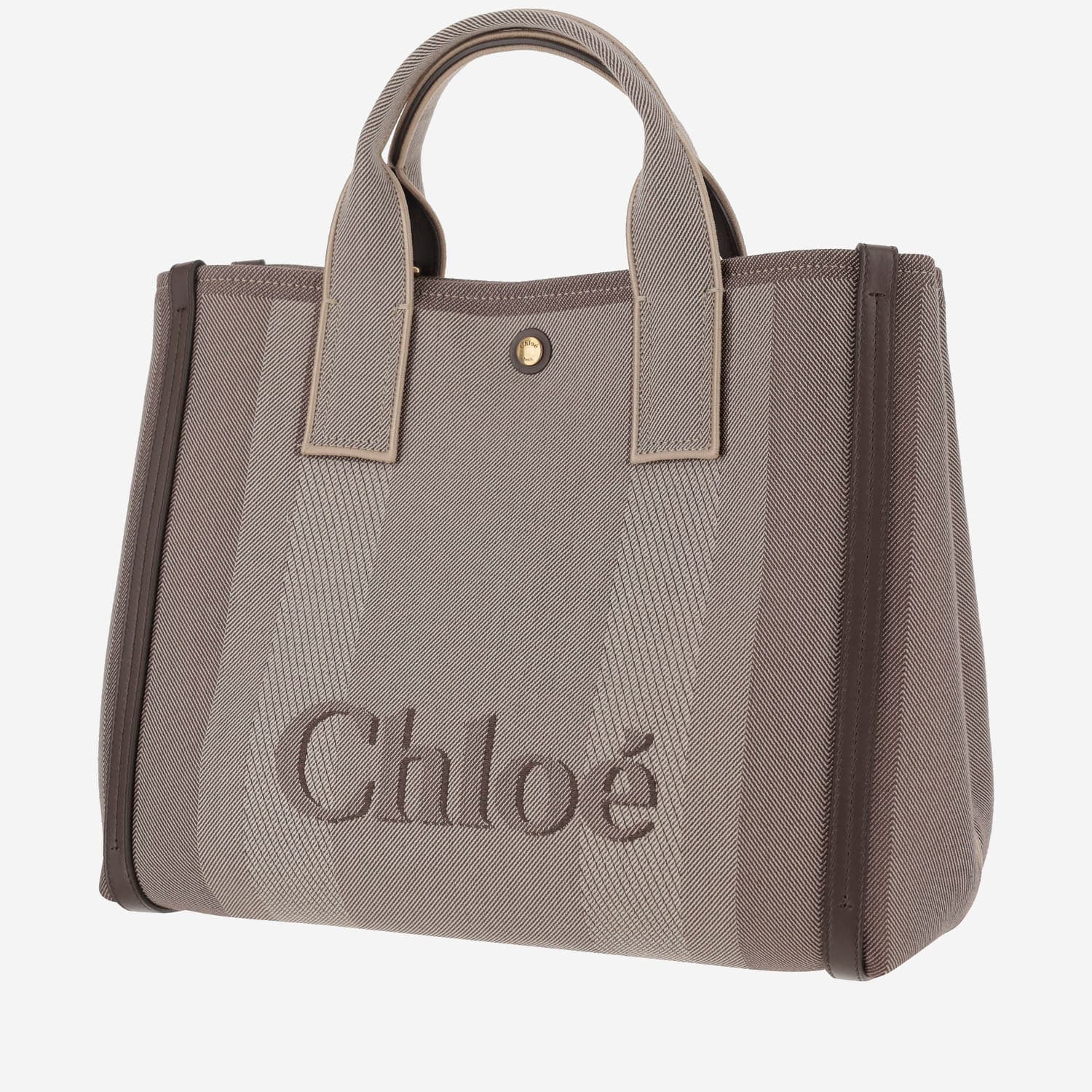 CHLOÉ MULTICOLOR CANVAS CHLOé CARRY SHOPPING BAG