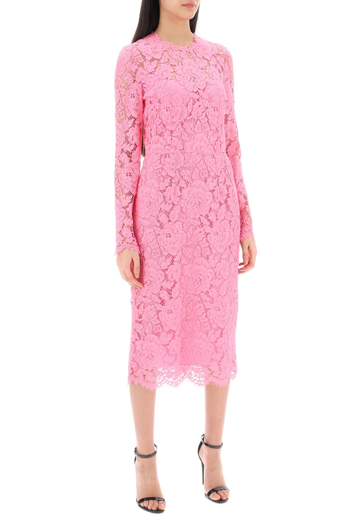 Shop Dolce & Gabbana Midi Dress In Floral Cordonnet Lace In Rosa
