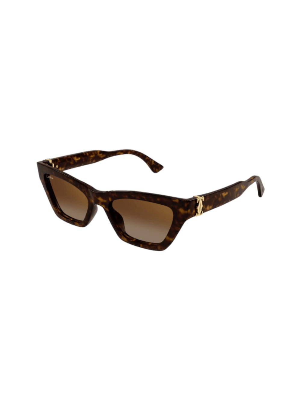 Ct 0437 Sunglasses