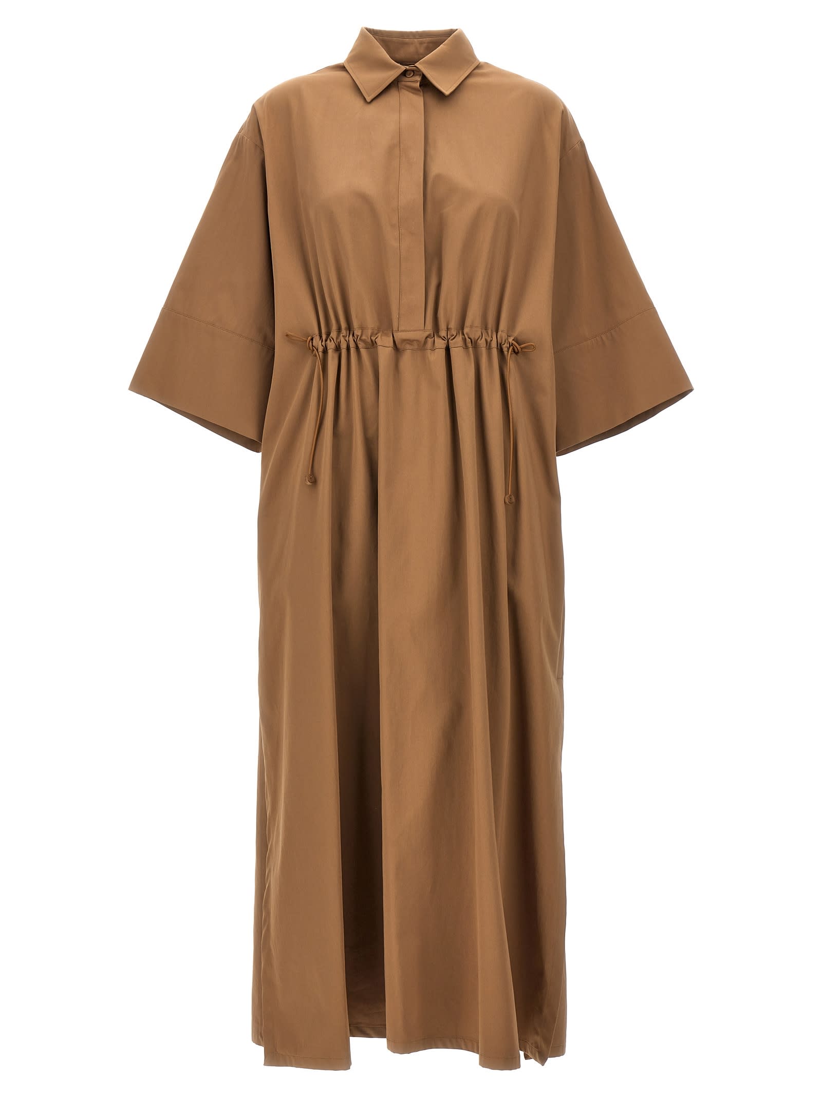Max Mara Eulalia Dress In Brown