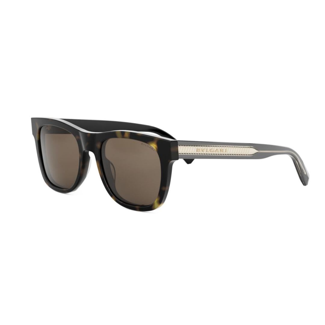 Bulgari Bv40063i52e In Brown