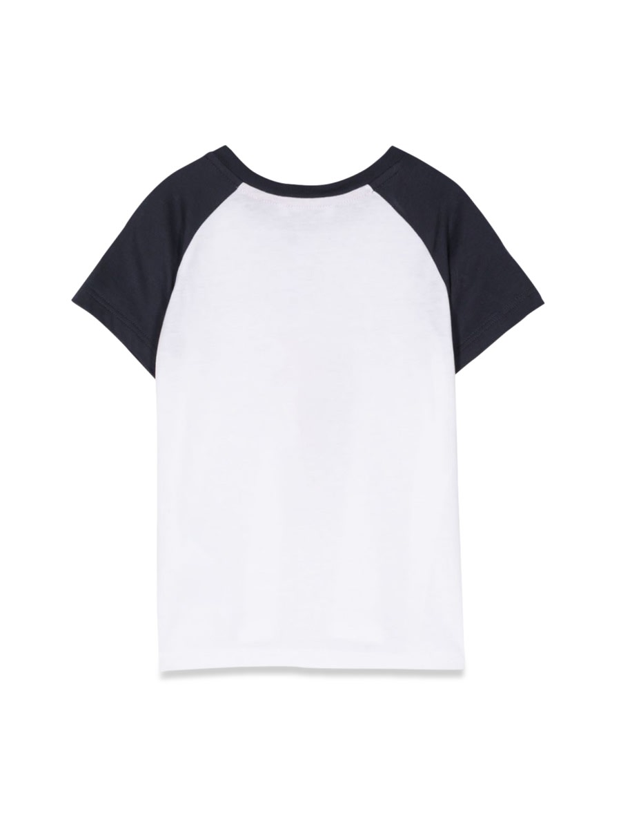 Shop Dolce & Gabbana Short Sleeve T-shirt In Multicolour