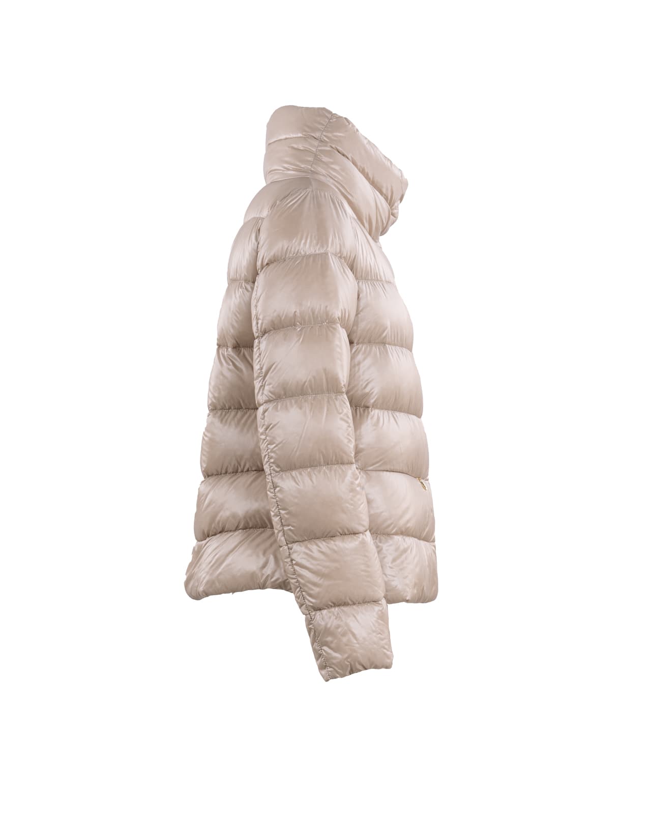 Shop Herno Coats Beige