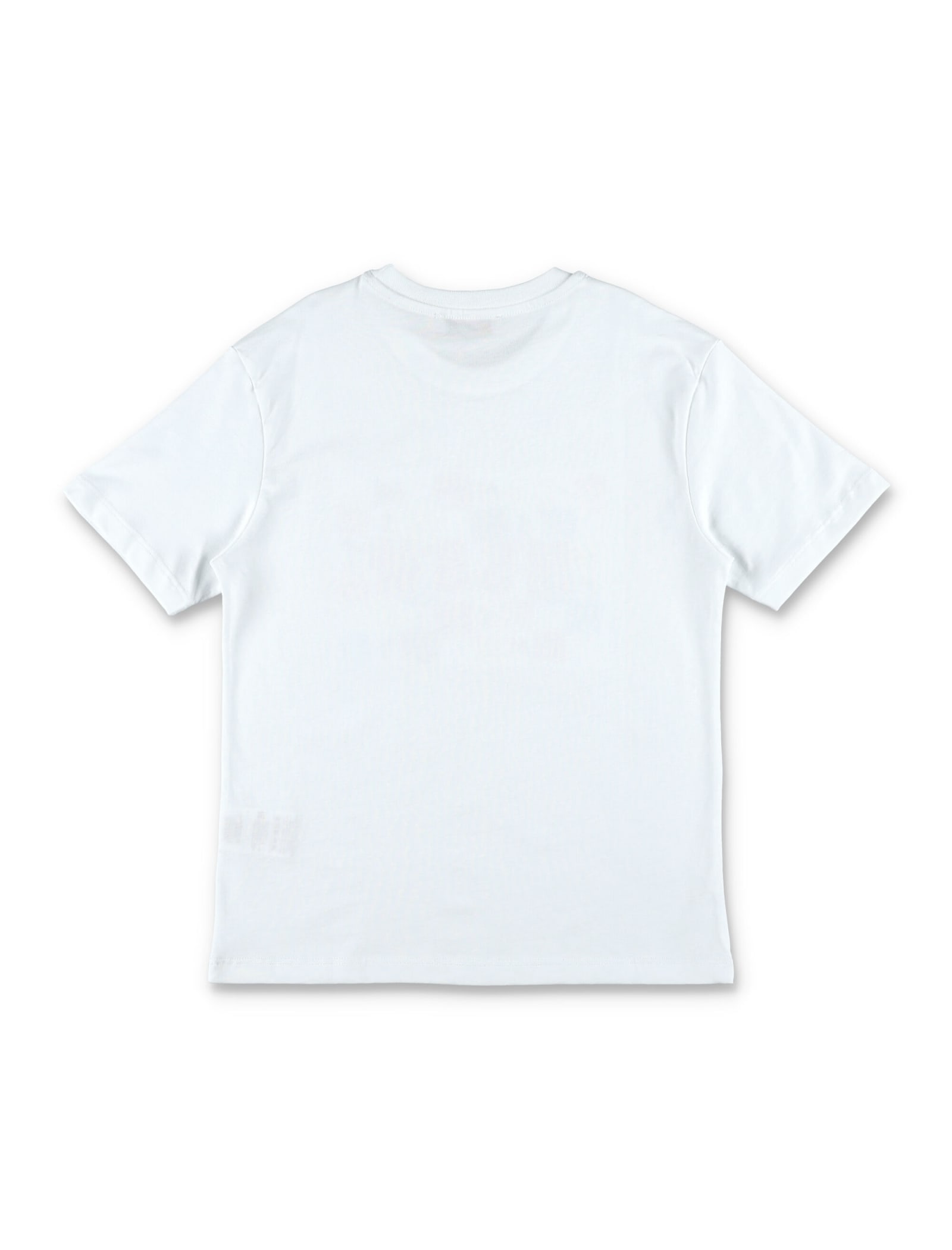 Shop Msgm Logo T-shirt In Bianco/white