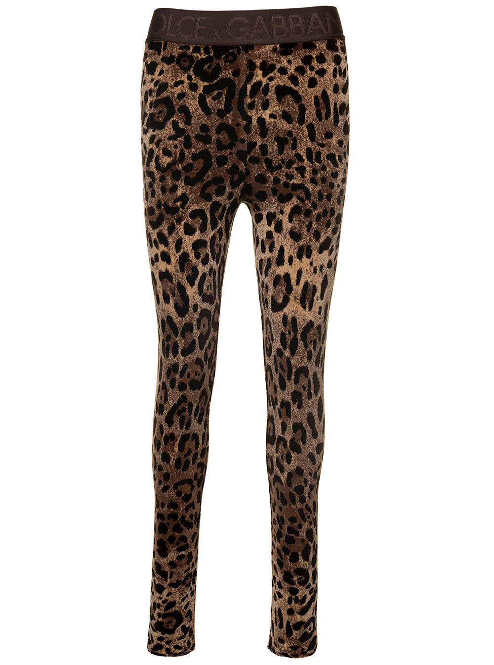 Shop Dolce & Gabbana Animalier Velour Leggings