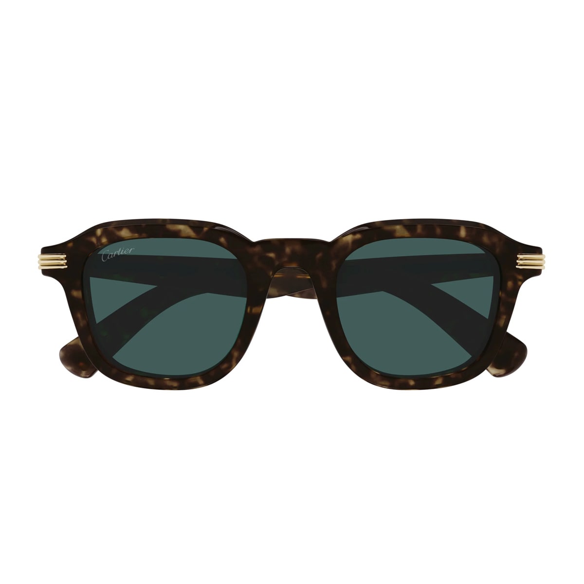 Cartier Ct0536s Première De Cartier 002 Havana Green Sunglasses