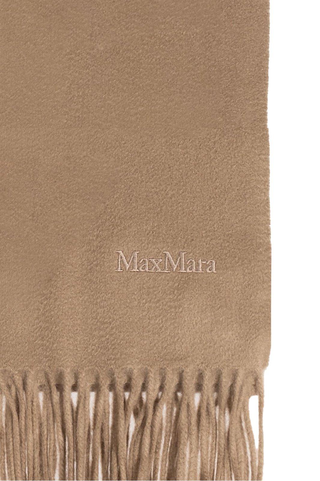 Shop Max Mara Logo Embroidered Fringed Edge Scarf In Brown