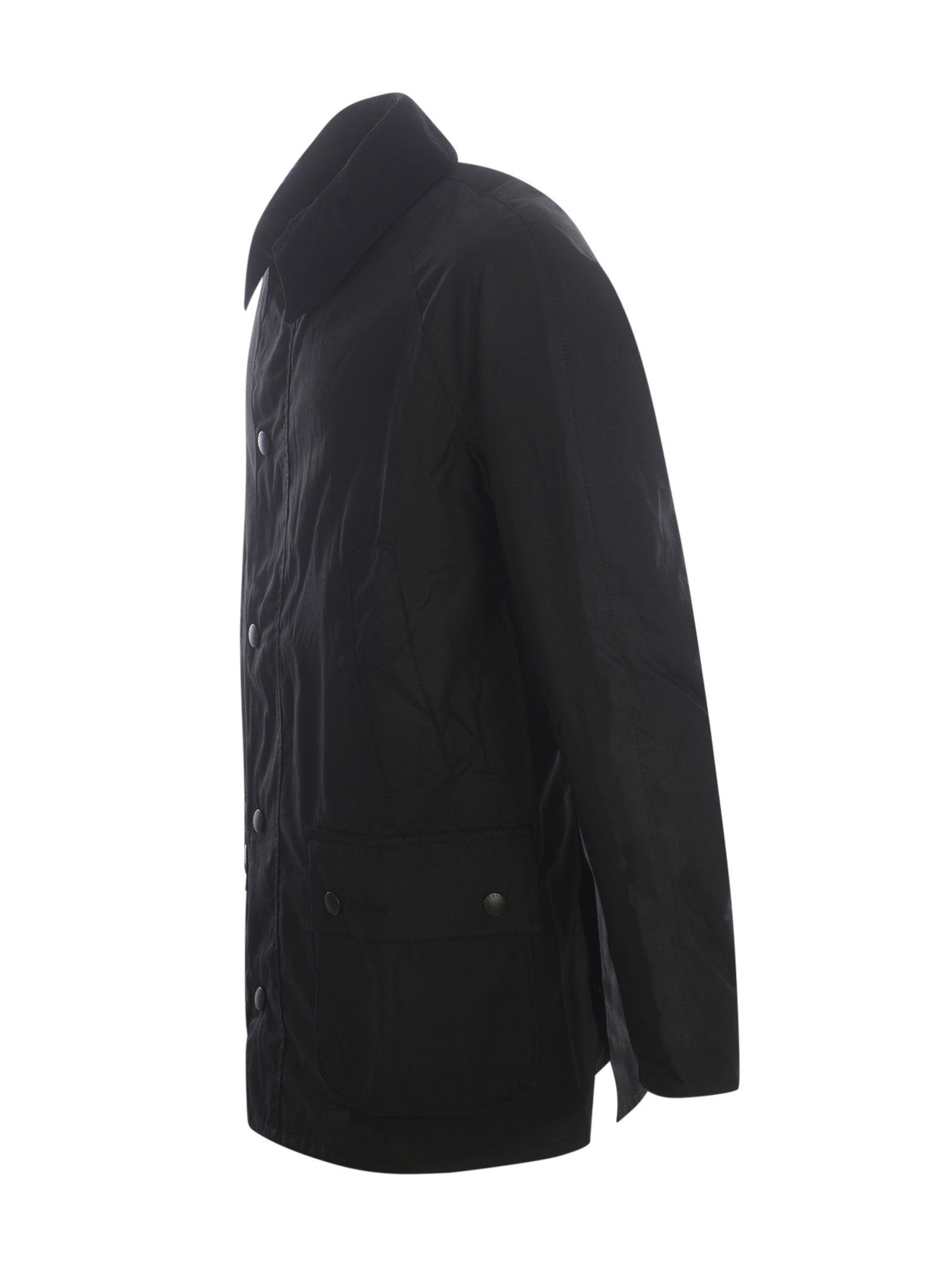 Shop Barbour Jacket  Ashby In Cotton In Nero