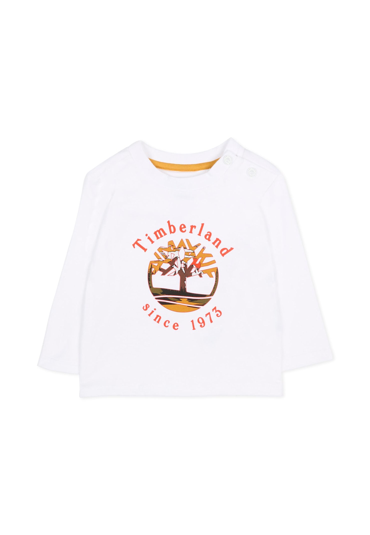 Timberland White T-shirt For Baby Boy With Logo In White