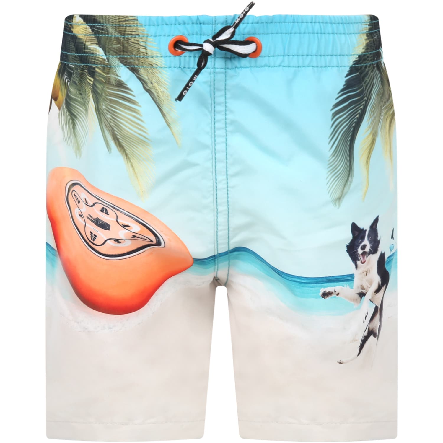Molo Multicolor Swim-boxer For Boy With Dog And Frisbee