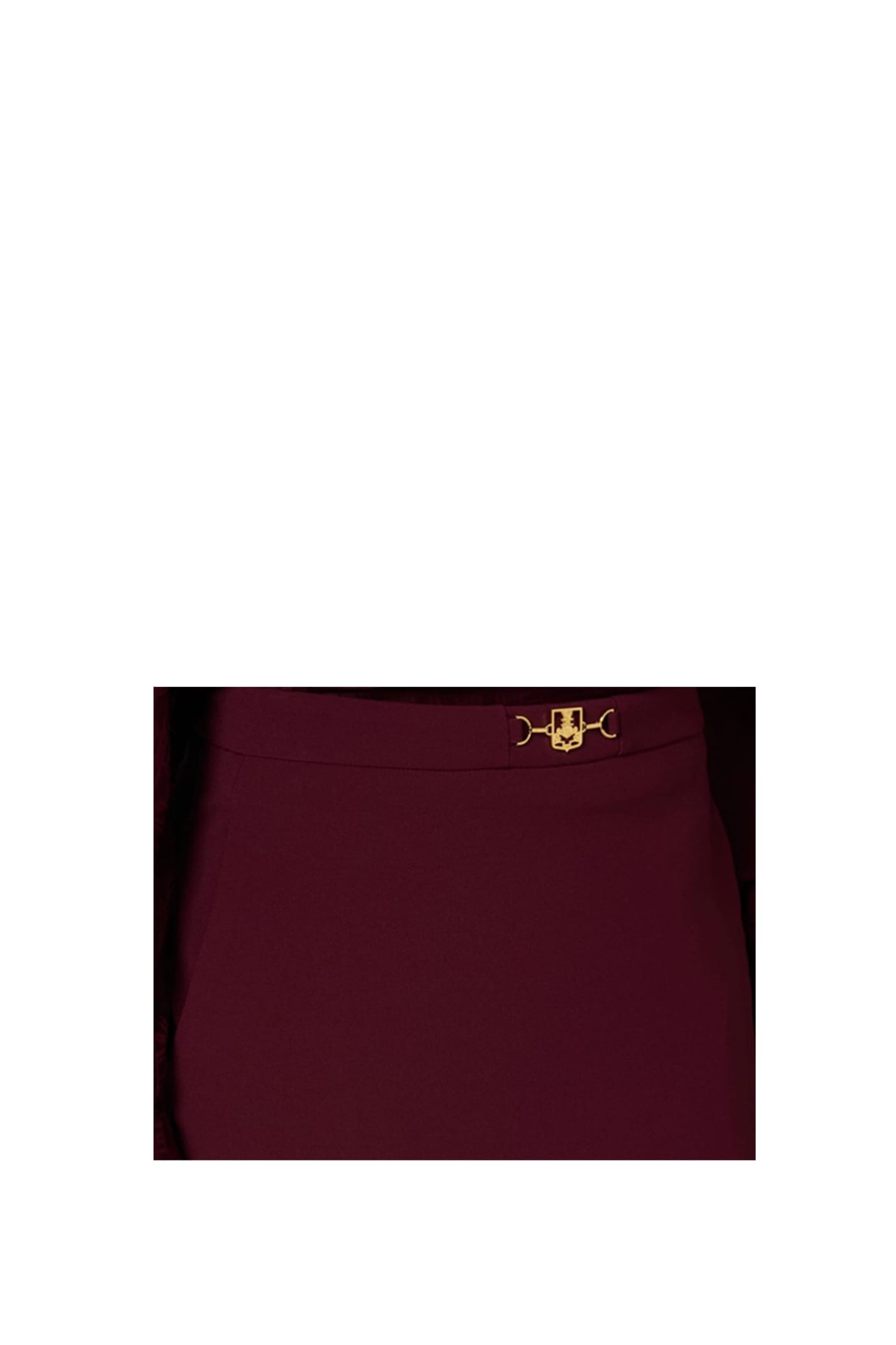 Shop Elisabetta Franchi Skirt In Bordeaux