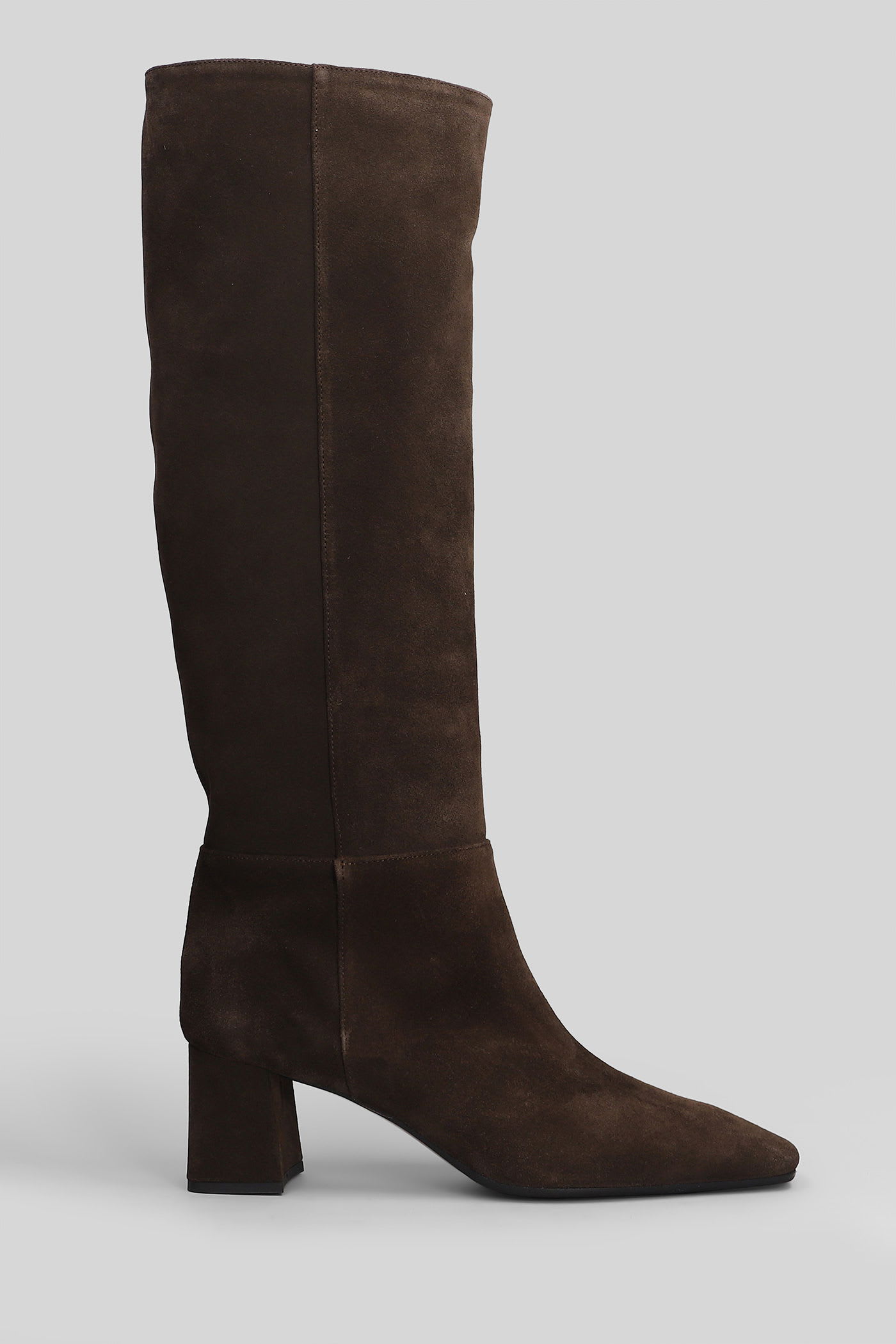 Fabio Rusconi High Heels Boots In Brown Suede