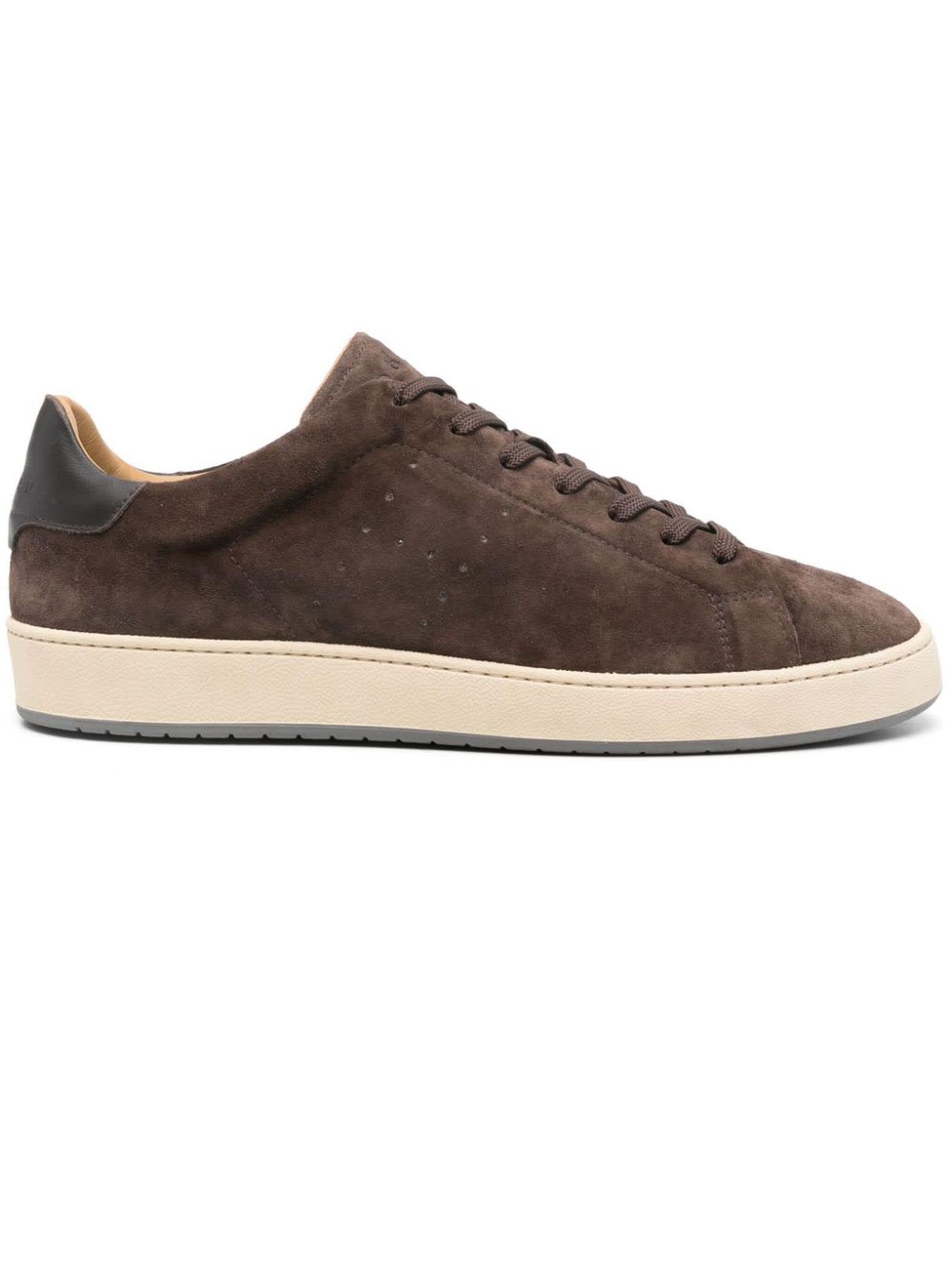 Shop Hogan Sneakers Brown