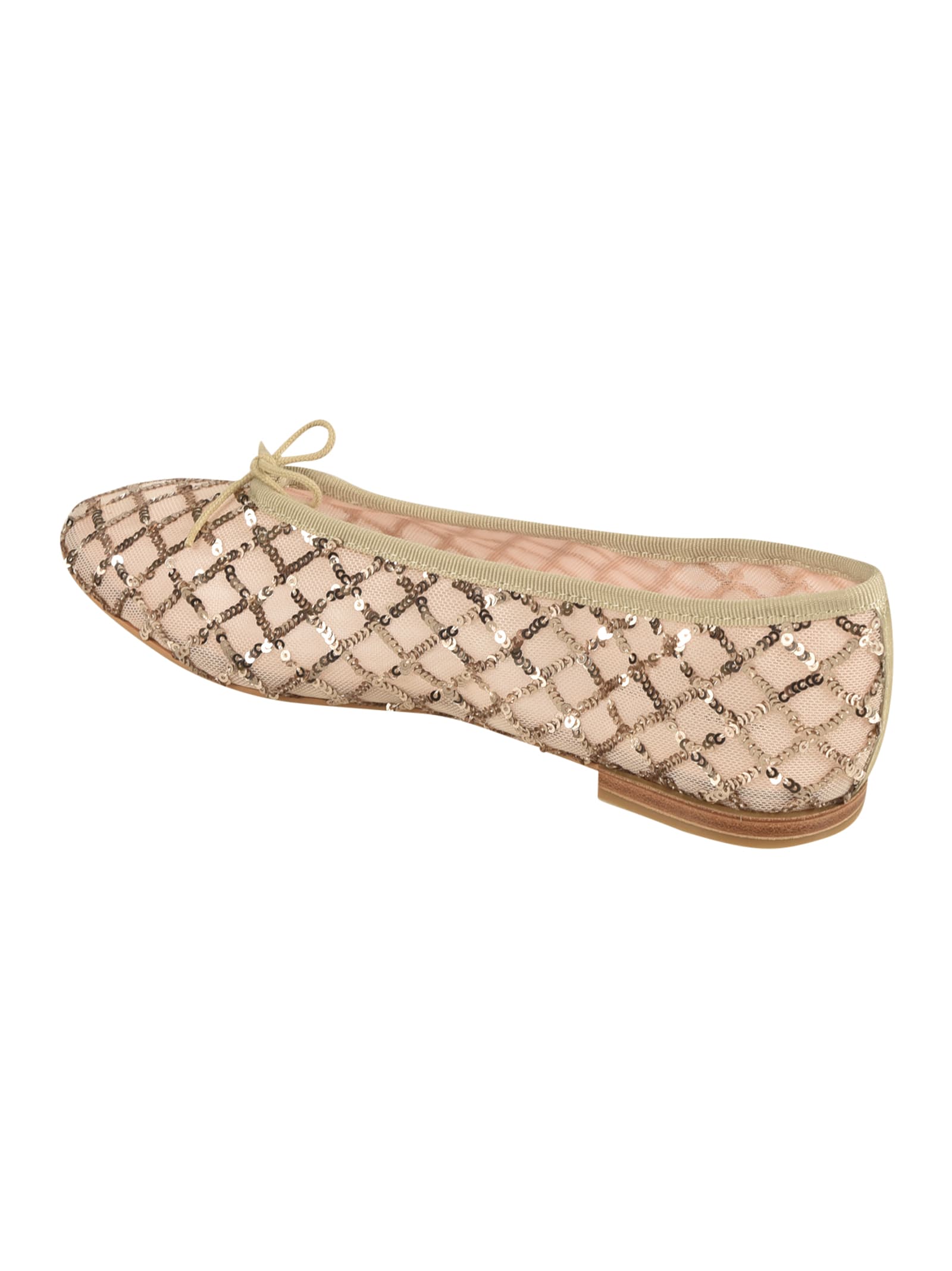 Repetto Bulle Ballerinas In 418