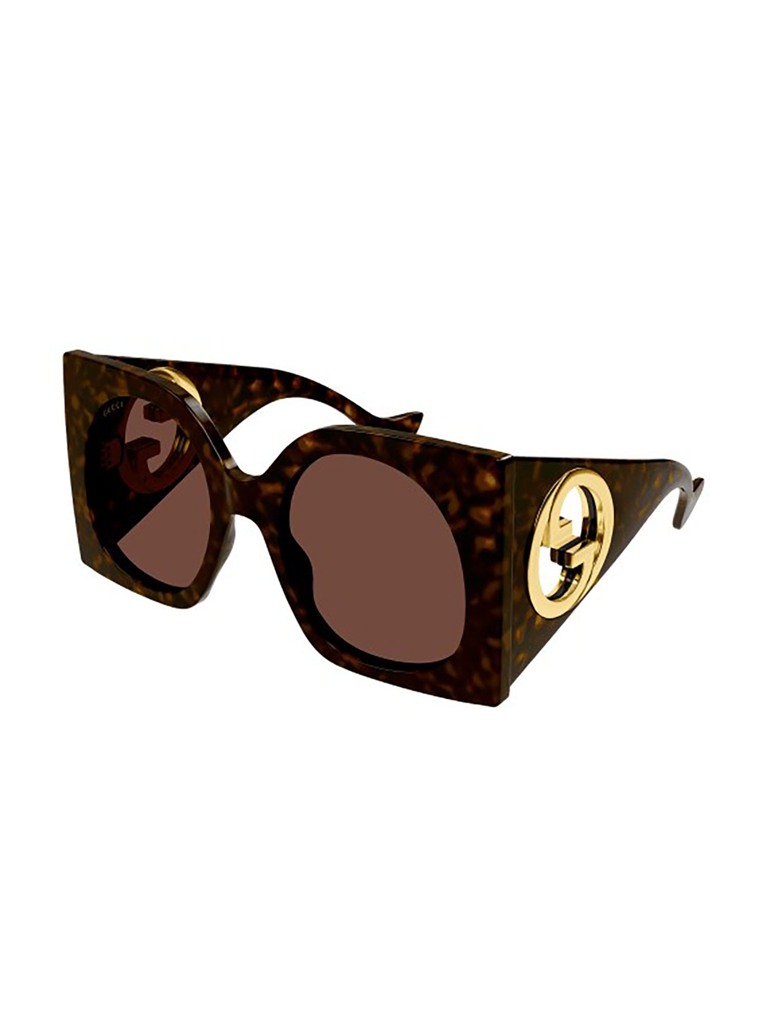 Shop Gucci Gg1254s Sunglasses In Havana Havana Brown