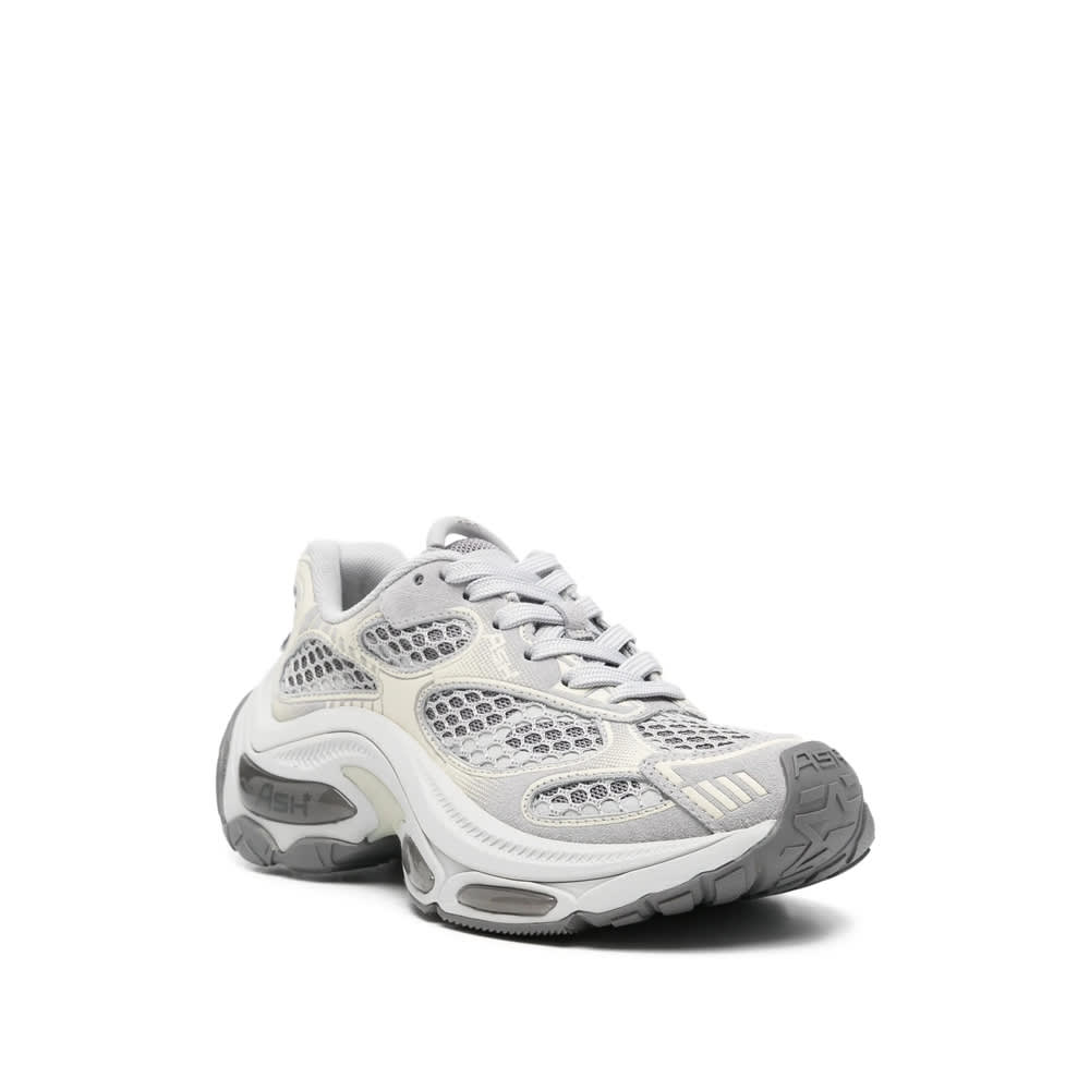 Ash Dragon Sneaker In Gray