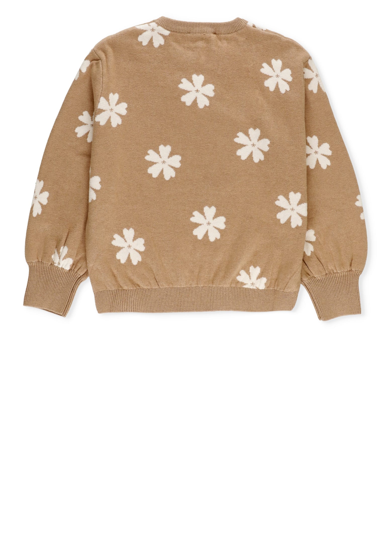 Shop Chloé Cotton And Wool Sweater In Brown