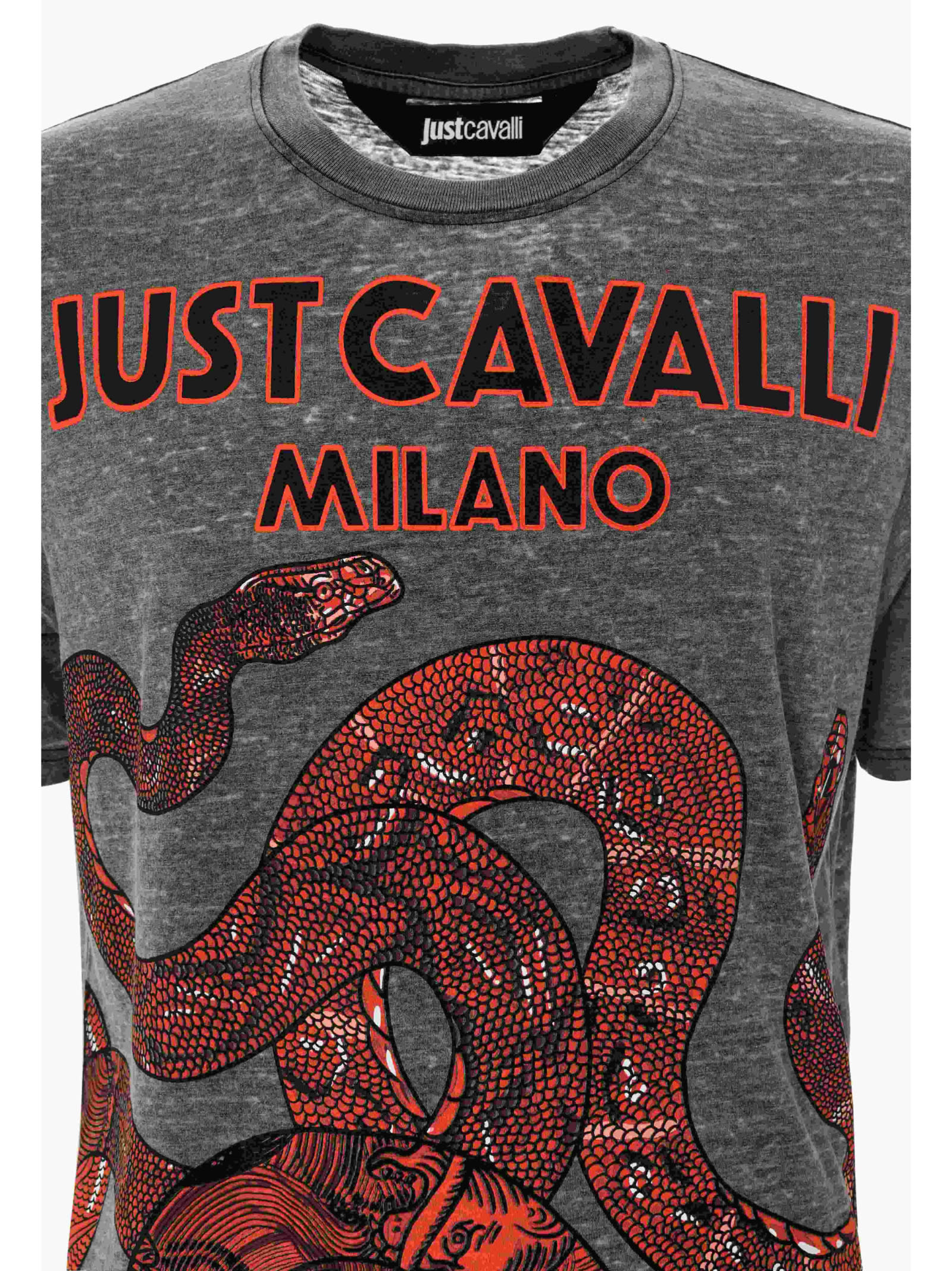 Just Cavalli Snake-print T-shirt In Grey