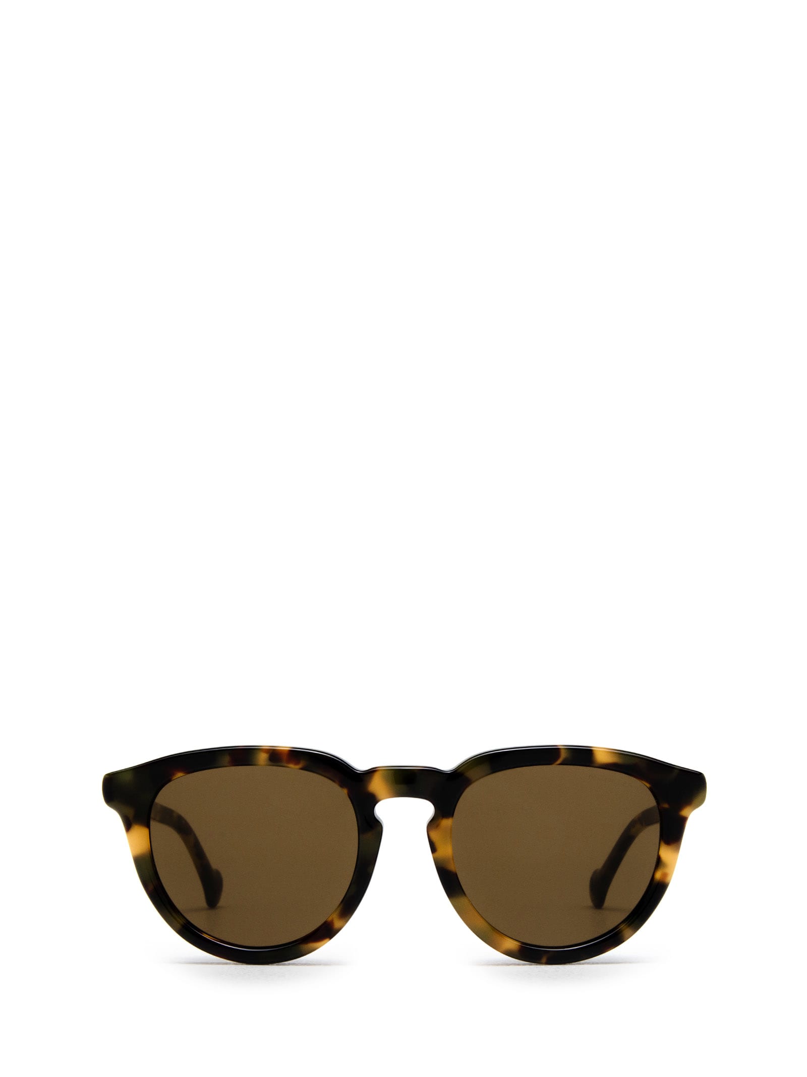 MONCLER ML0229 HAVANA SUNGLASSES