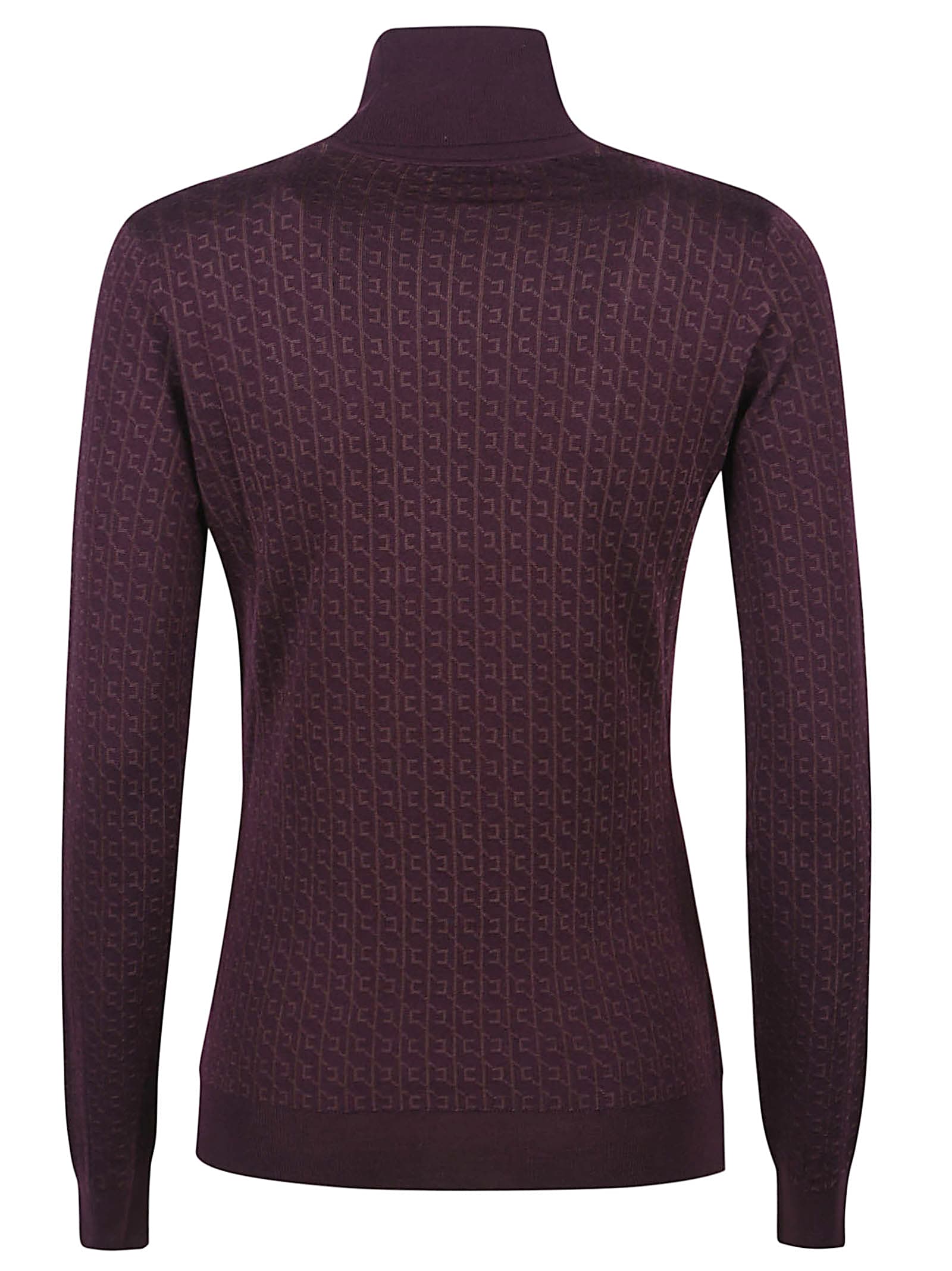 Elisabetta Franchi Wool Blend Turtle-neck Sweater In Brown