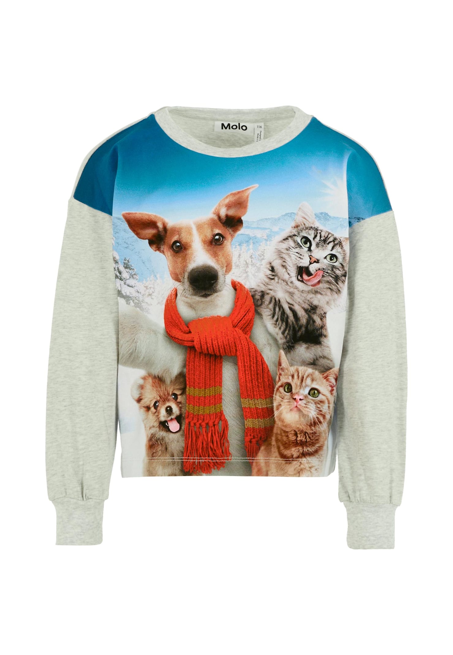 Molo Grey T-shirt For Kids With Dog And Cat In Blue
