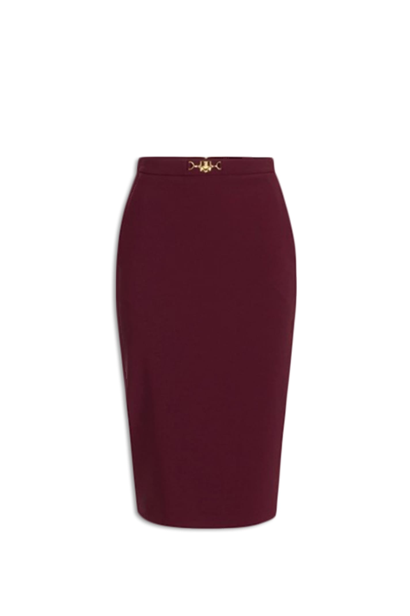 Shop Elisabetta Franchi Skirt In Bordeaux