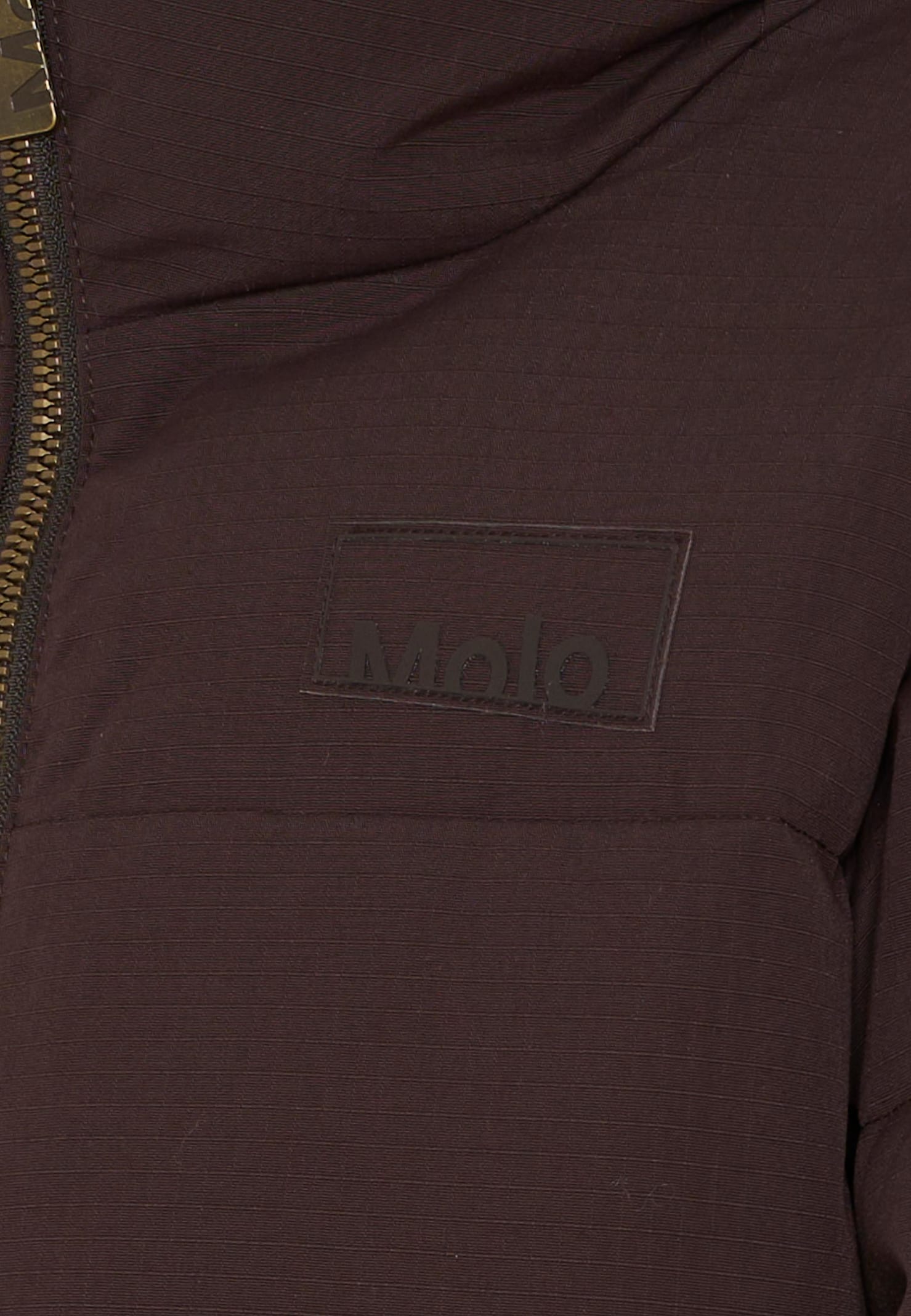 Molo Marron Down Jacket For Kids With Logo In Brown