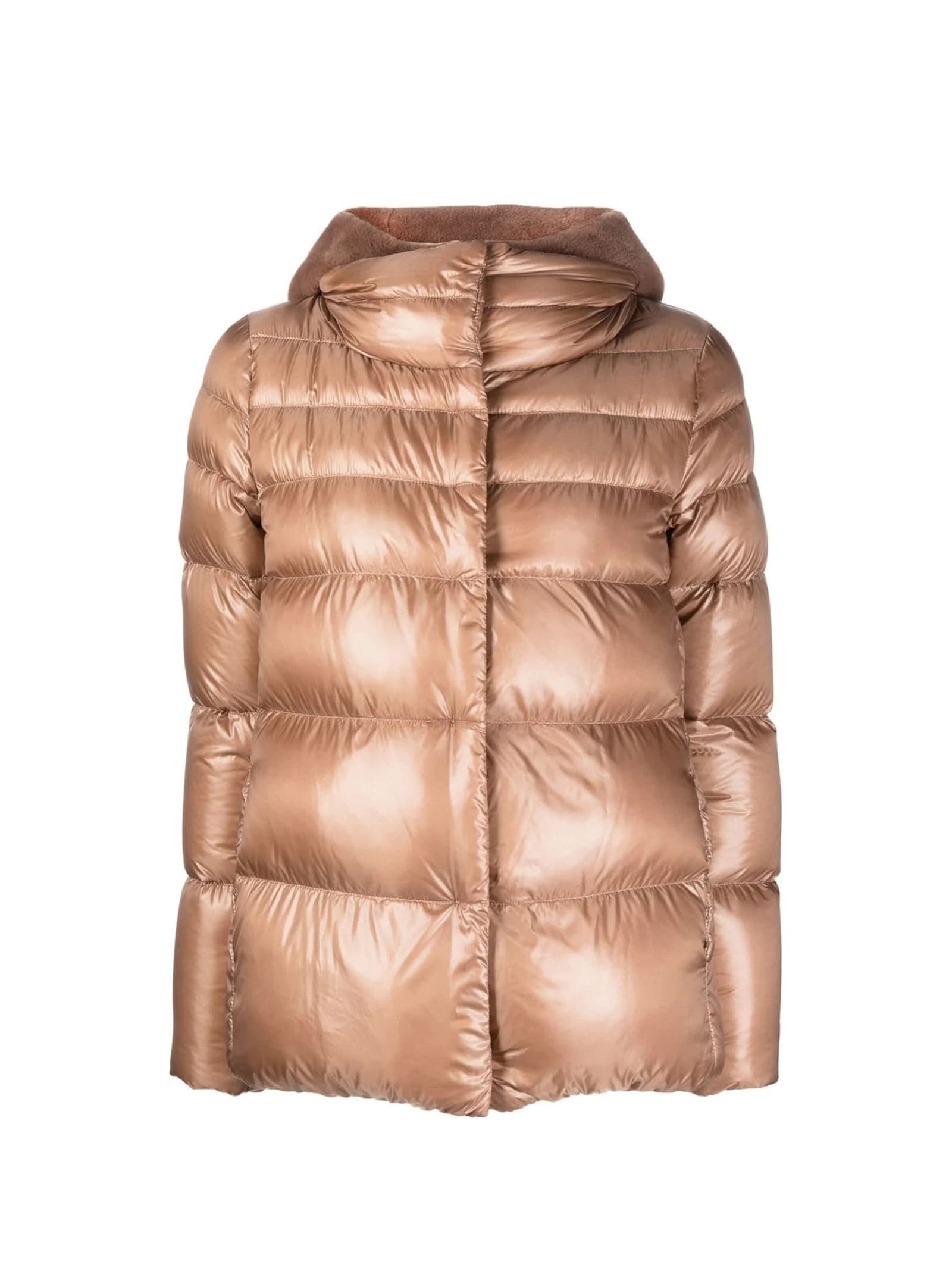 Herno Short Hooded Down Jacket