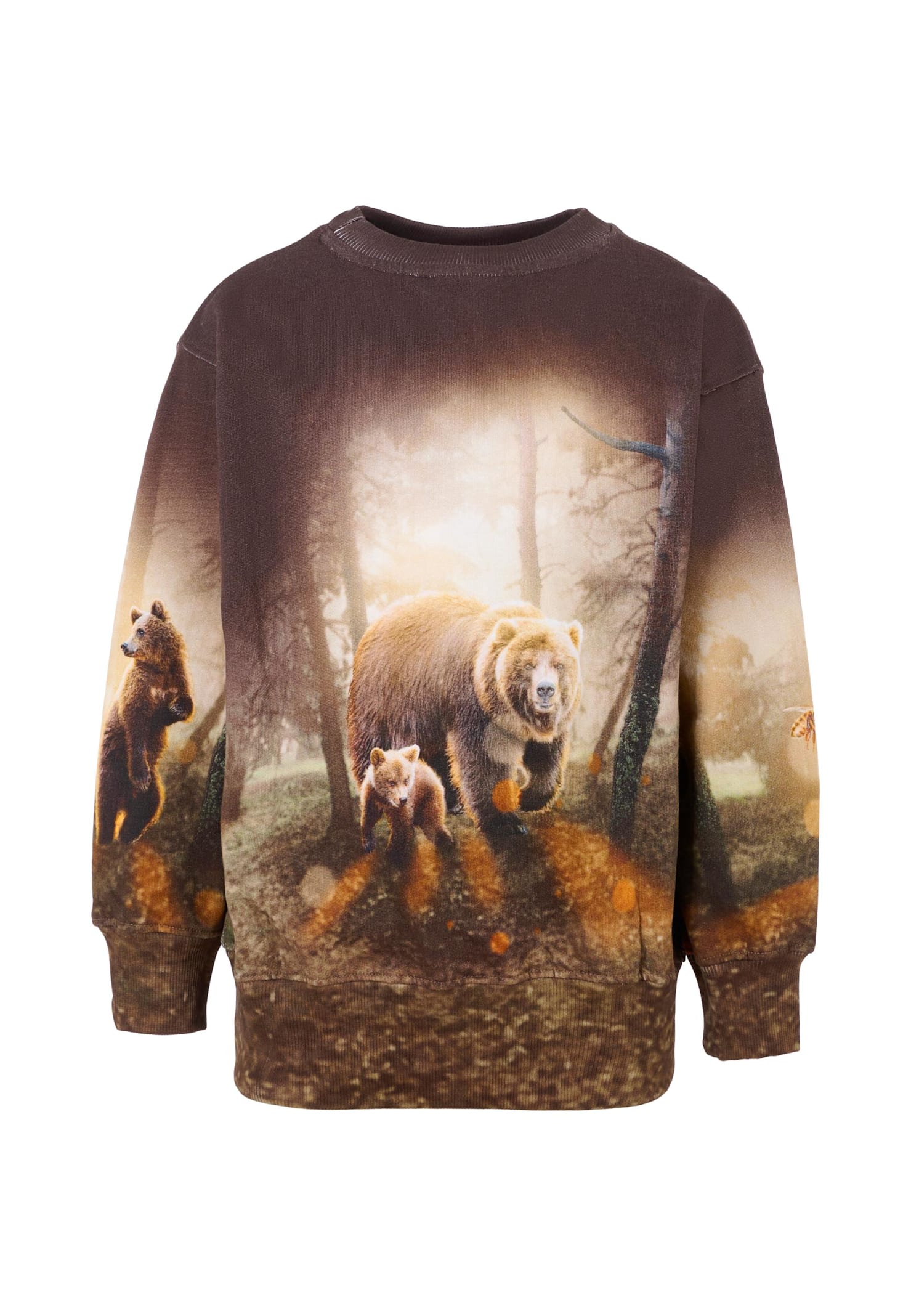 Molo Brown Sweatshirt For Boy With Bear In Brown