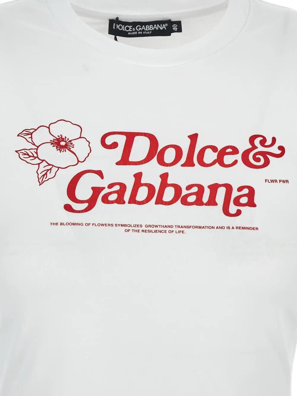 Shop Dolce & Gabbana Logo T-shirt In White