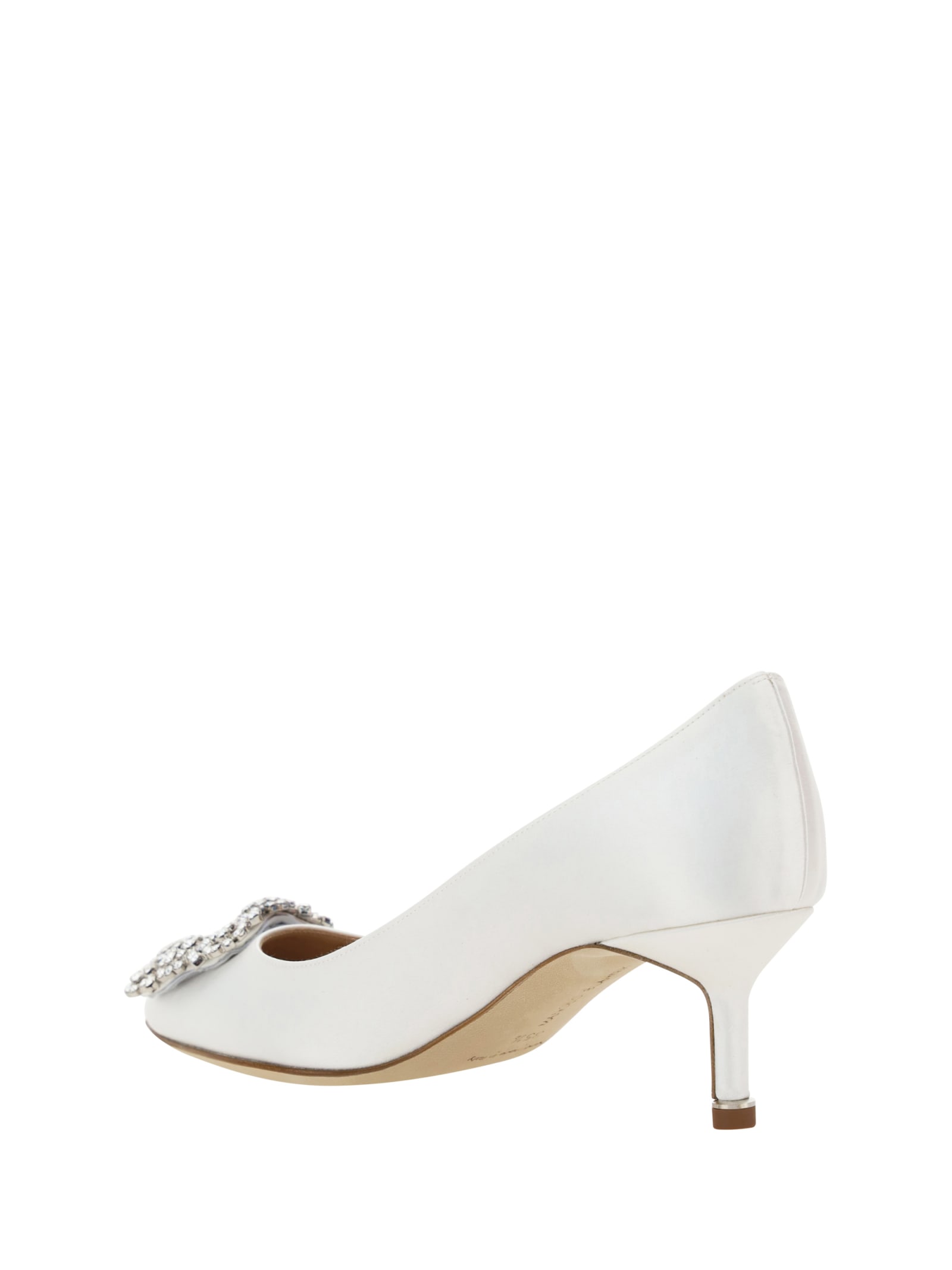 Shop Manolo Blahnik Hangisi Pumps In Mcrm