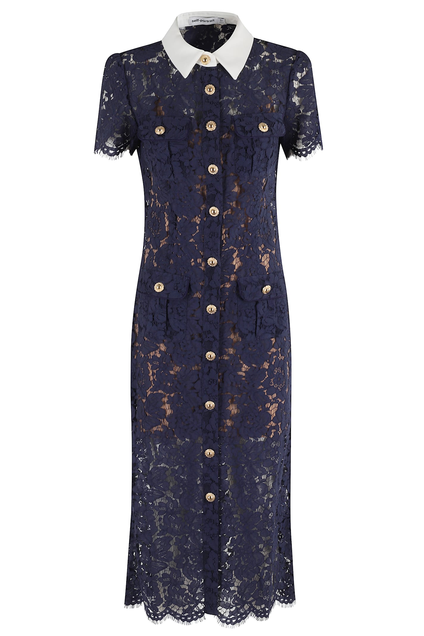 Lace Contrast Collar Midi Dress