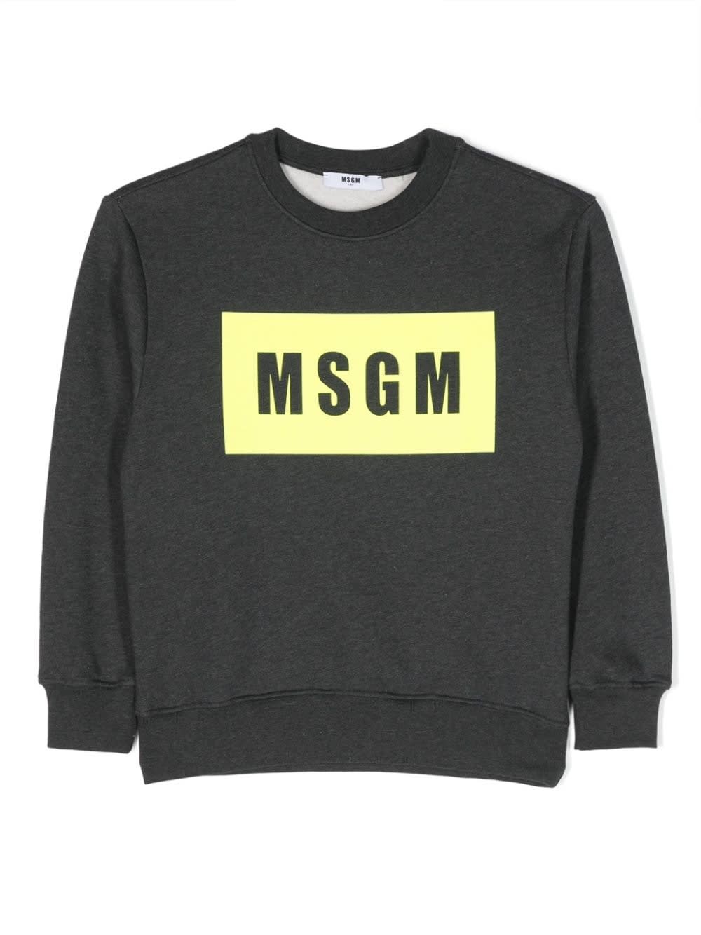 Shop Msgm Sweatshirt With Print In Grigio