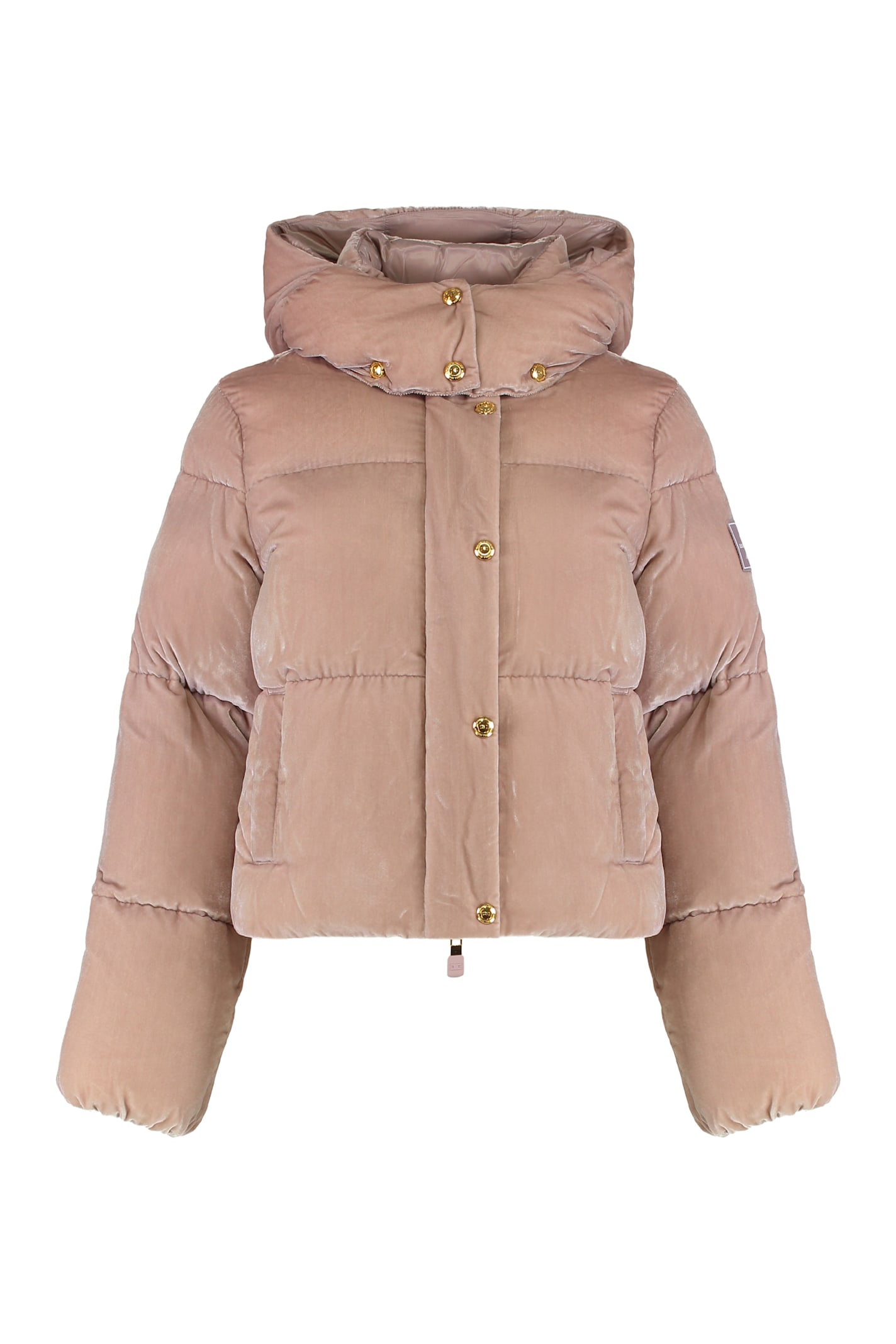 Elisabetta Franchi Linguaggio: Italiano (it) -> Inglese (en)translation: Velvet Puffer Jacket In Brown