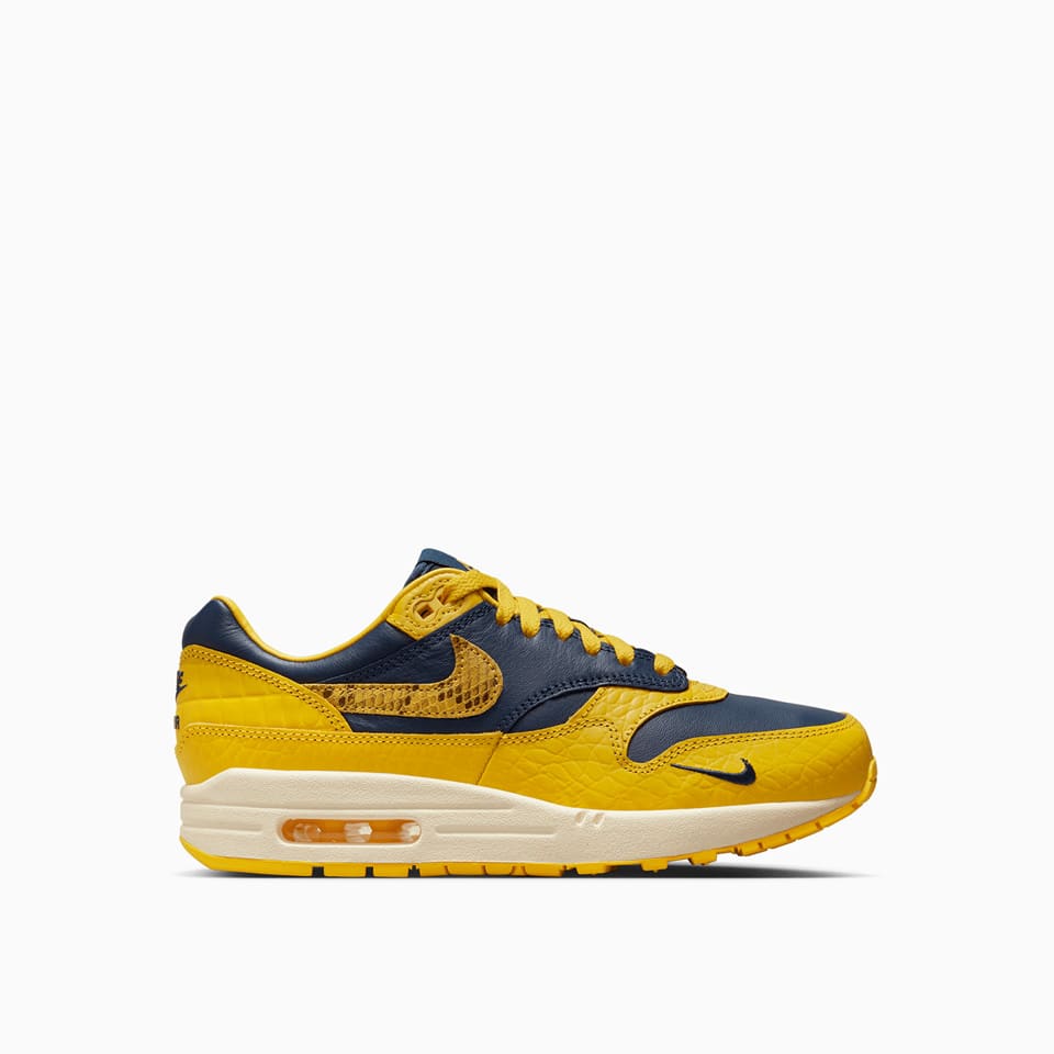 Air Max 1 Premium Sneakers Fj5479-410