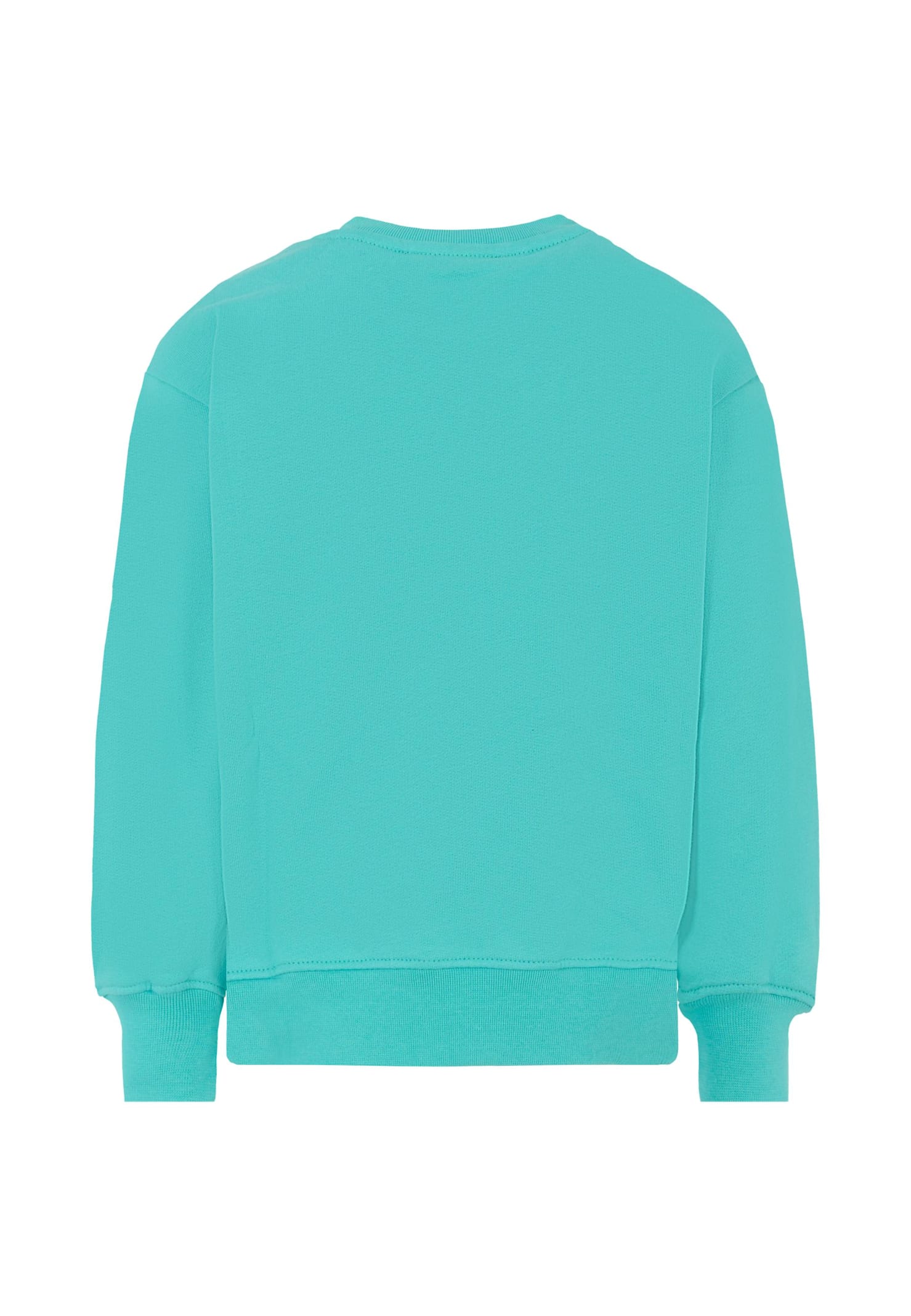 Msgm Light Blue Sweatshirt For Kids With Logo In Multi