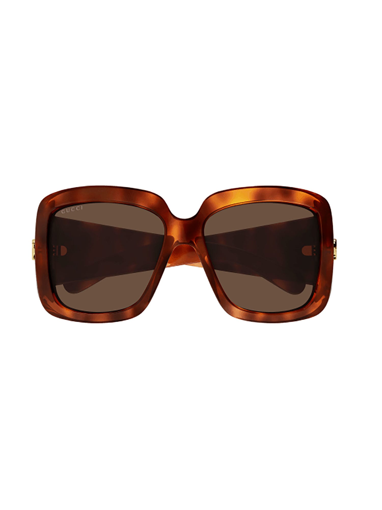 Shop Gucci Gg1402s Sunglasses In Havana Havana Brown