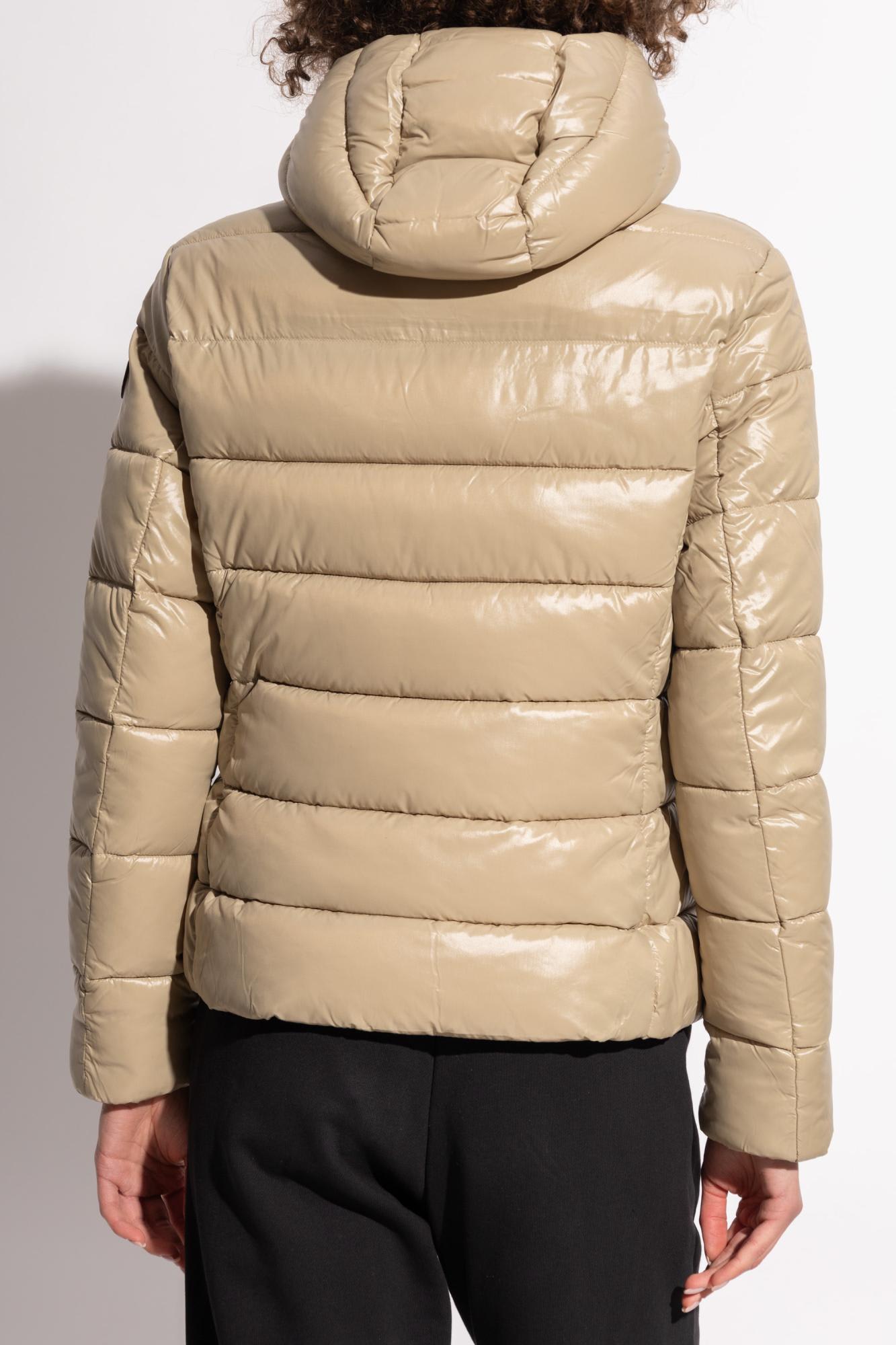 Shop Save The Duck Insulated Jacket Cosmary In Wood Beige