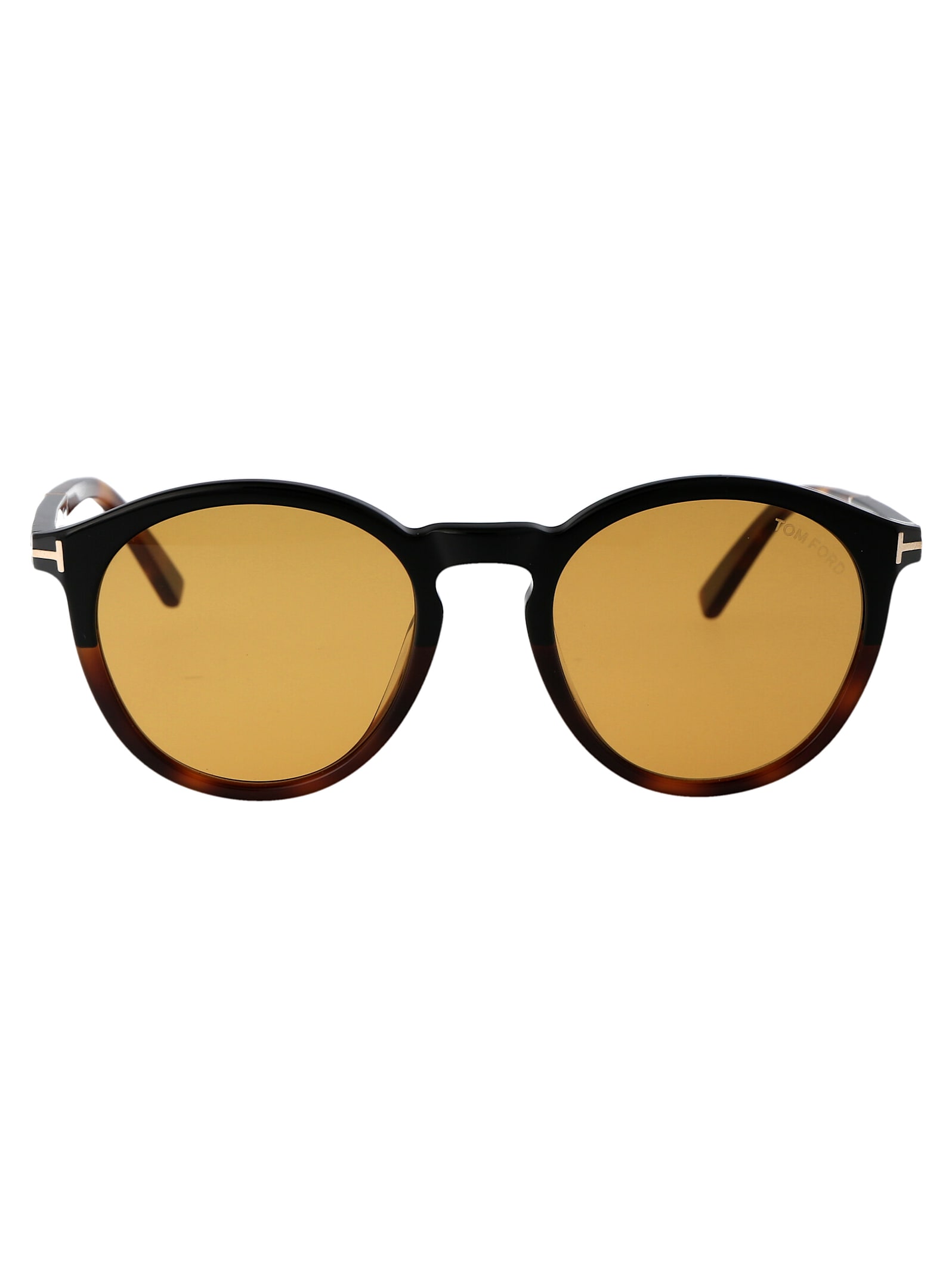 Tom Ford Elton Sunglasses In Black