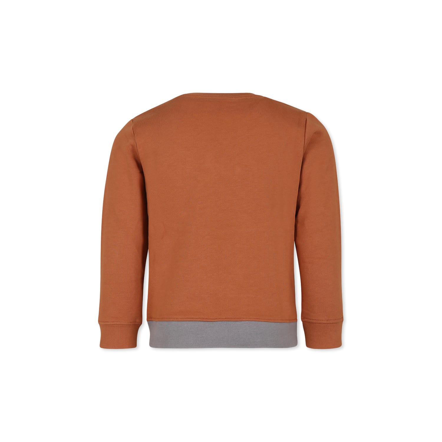 Stella Mccartney Brown Sweatshirt For Boy With Horse Print In Brown