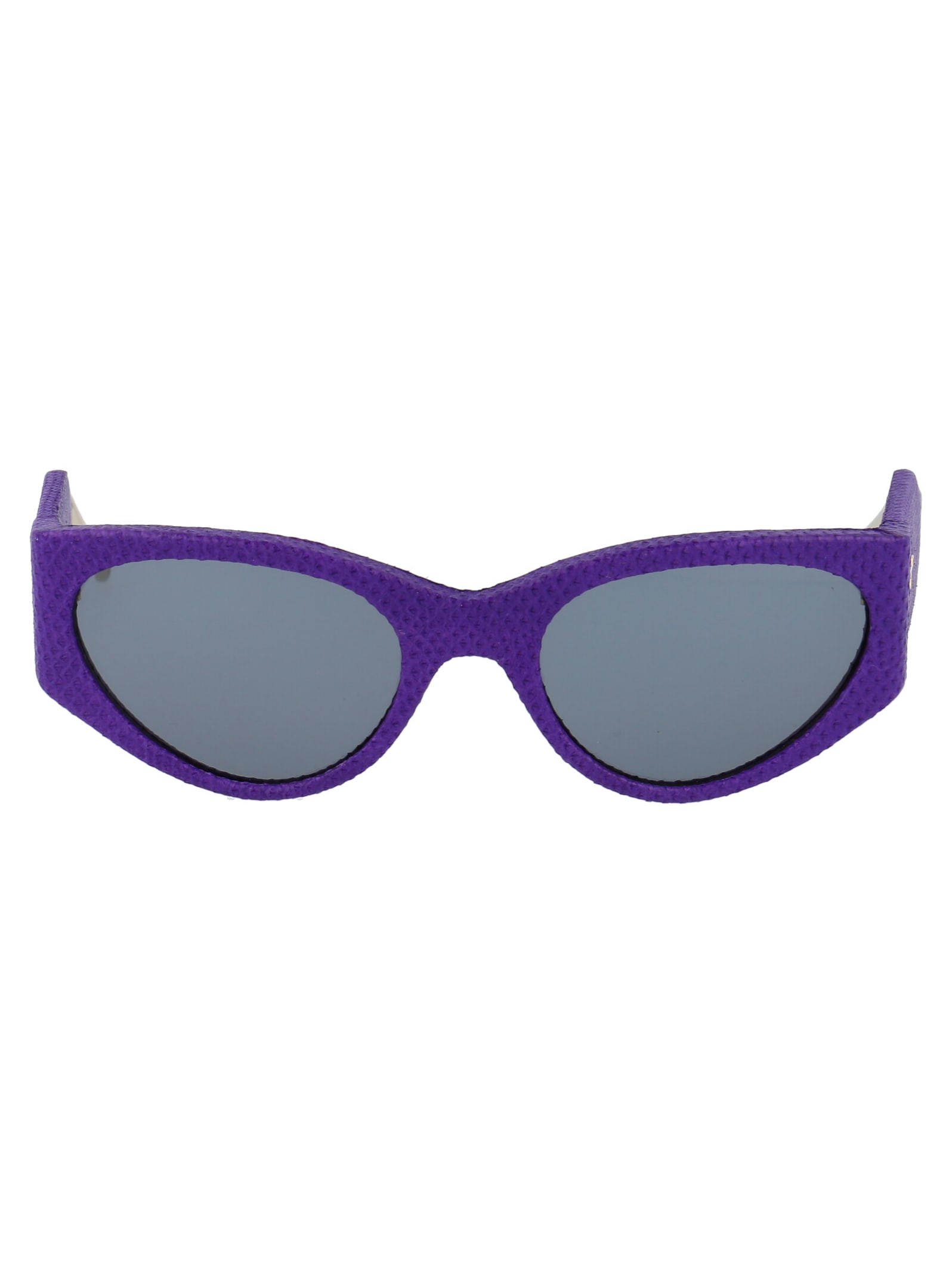 Salvatore Ferragamo Eyewear Sf950sl Sunglasses