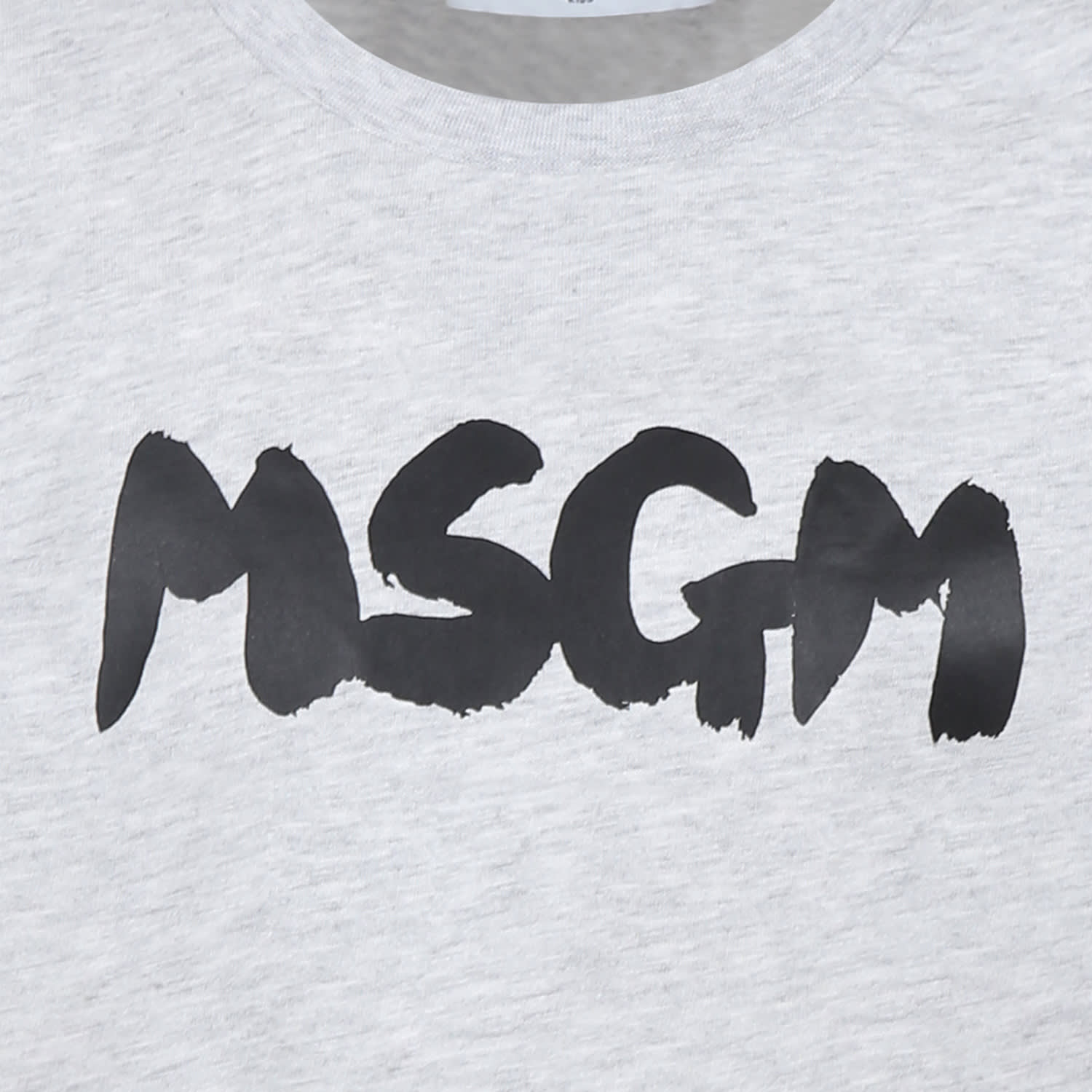Msgm Grey T-shirt For Kids With Logo In Grey
