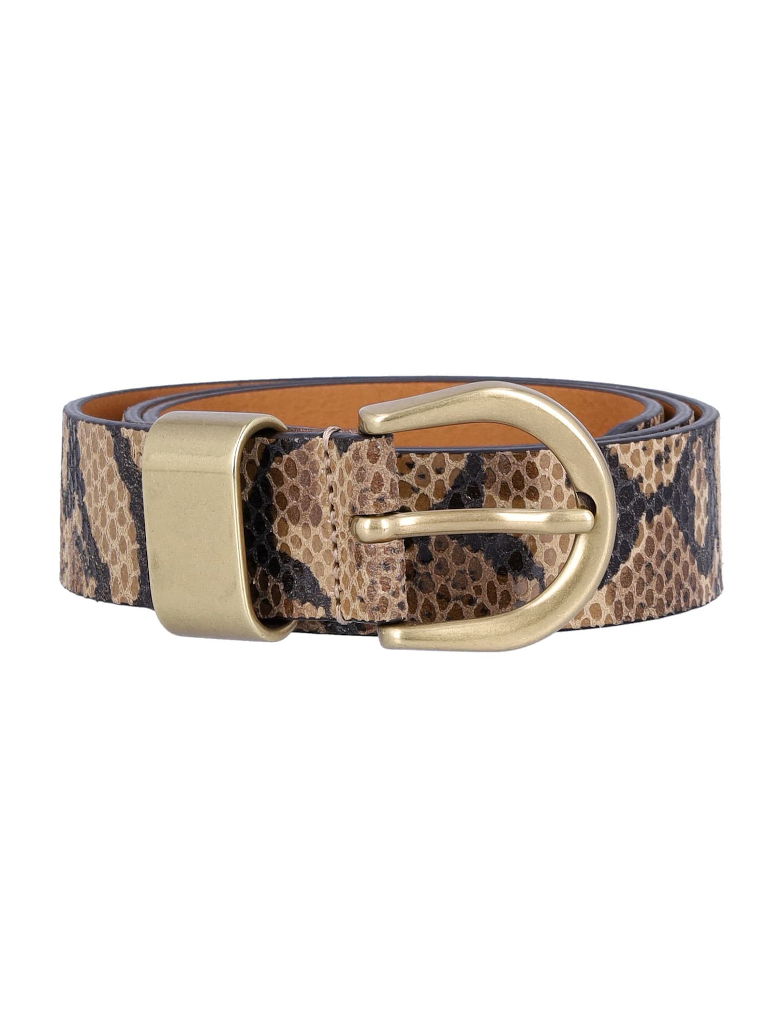 Sessun Belts In Brown