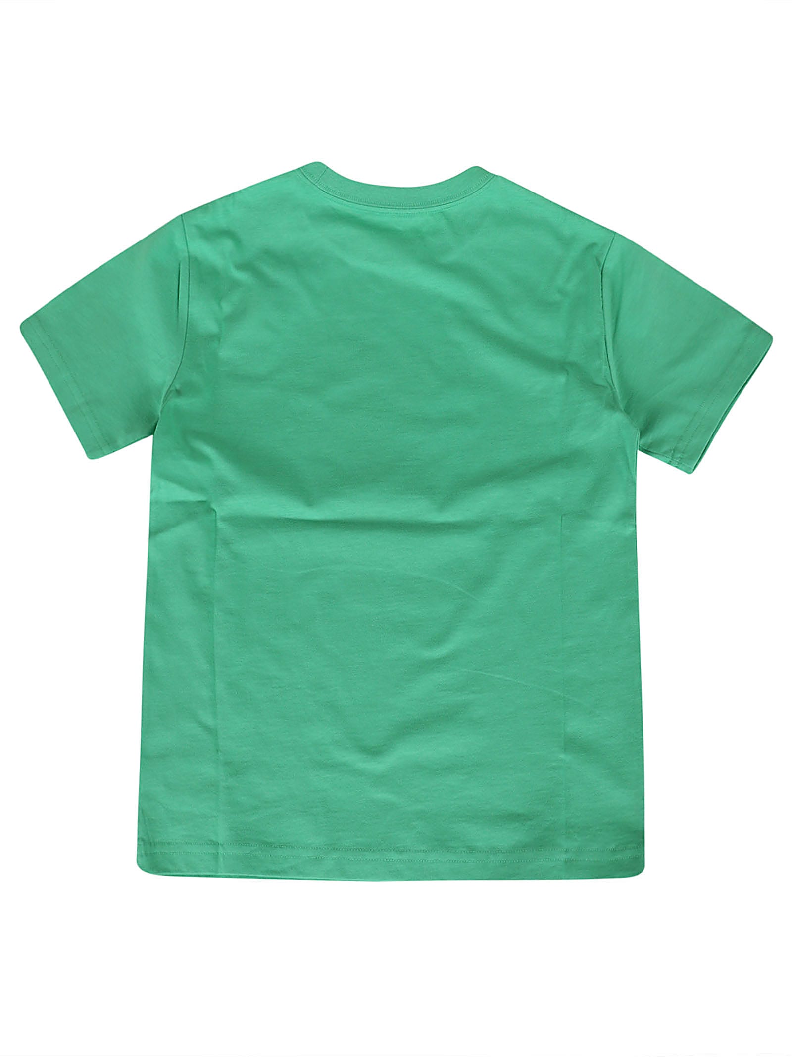 Shop Ralph Lauren Ss Cn-knit Shirts-t-shirt In Bear Vineyard Green